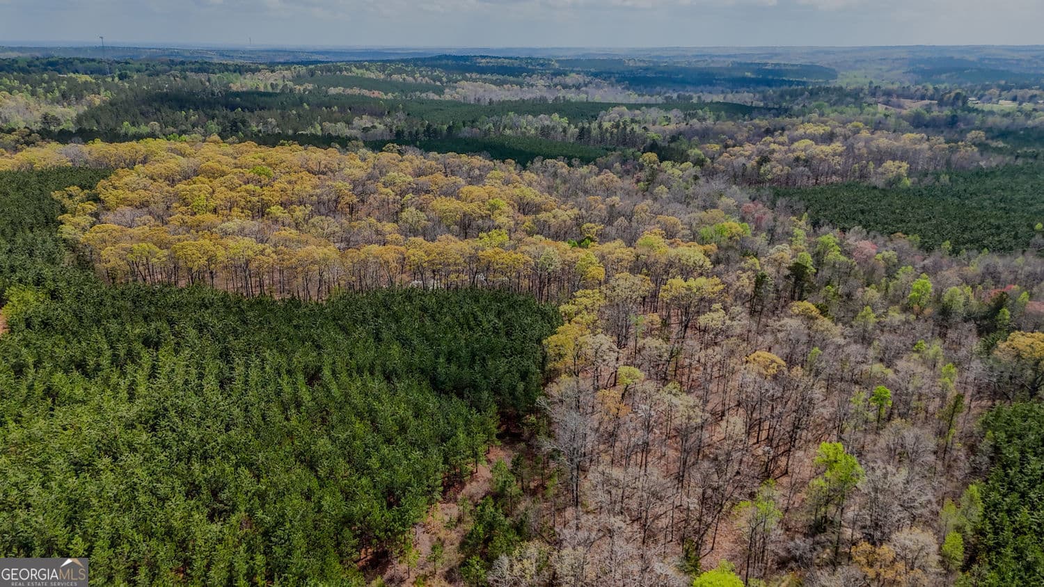 agriculture for sale at 0 Hwy 166 Road, Carrollton, GA 30116 — photo 8