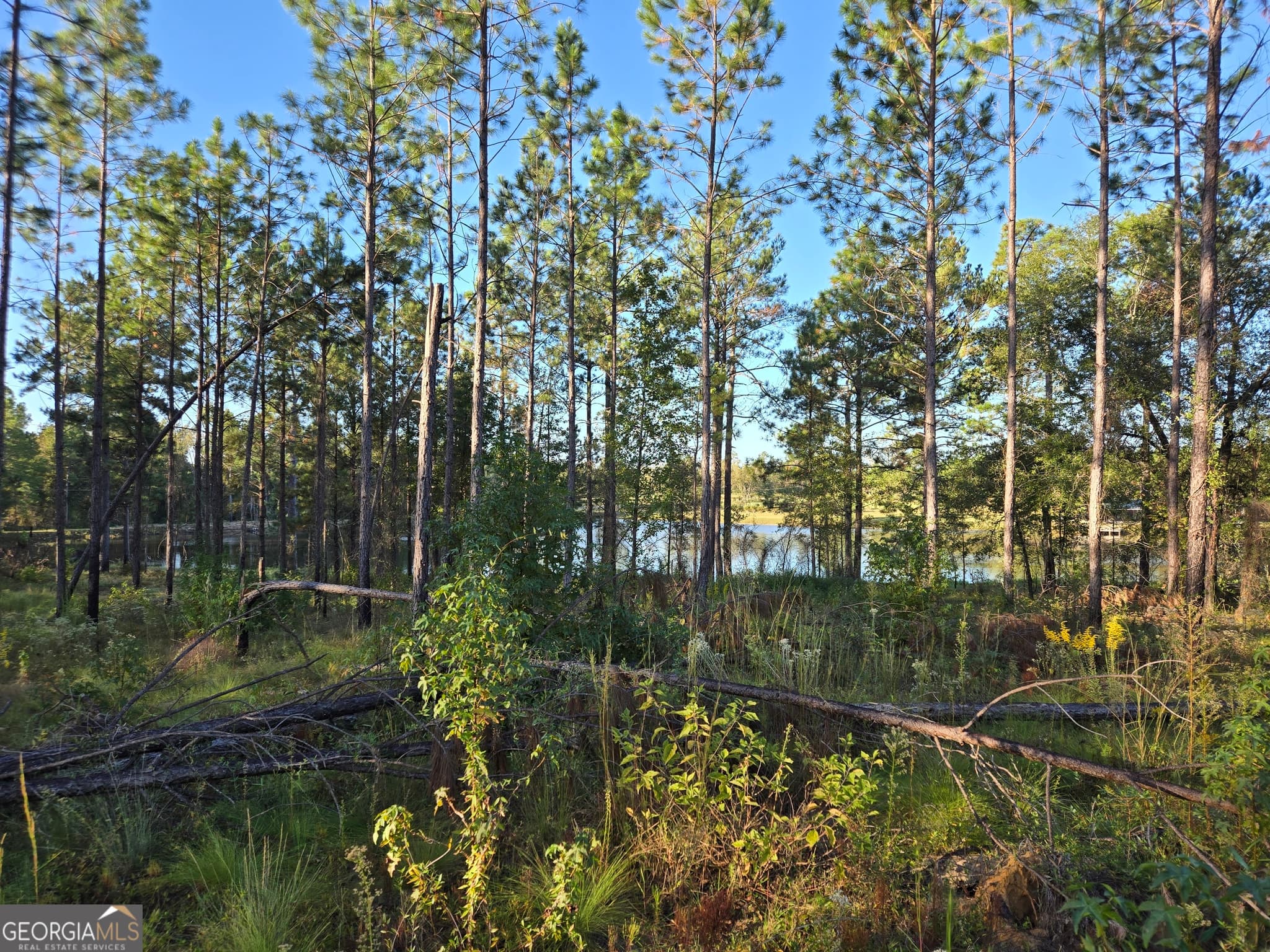 residential lot for sale at 600 Alton Lawson Road, Adrian, GA 31002 — photo 2
