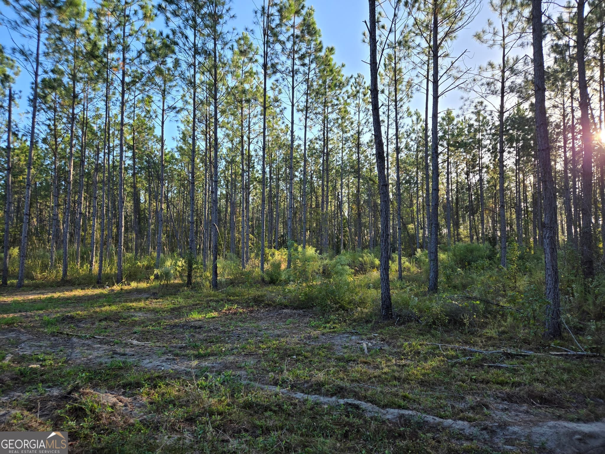 residential lot for sale at 600 Alton Lawson Road, Adrian, GA 31002 — photo 6