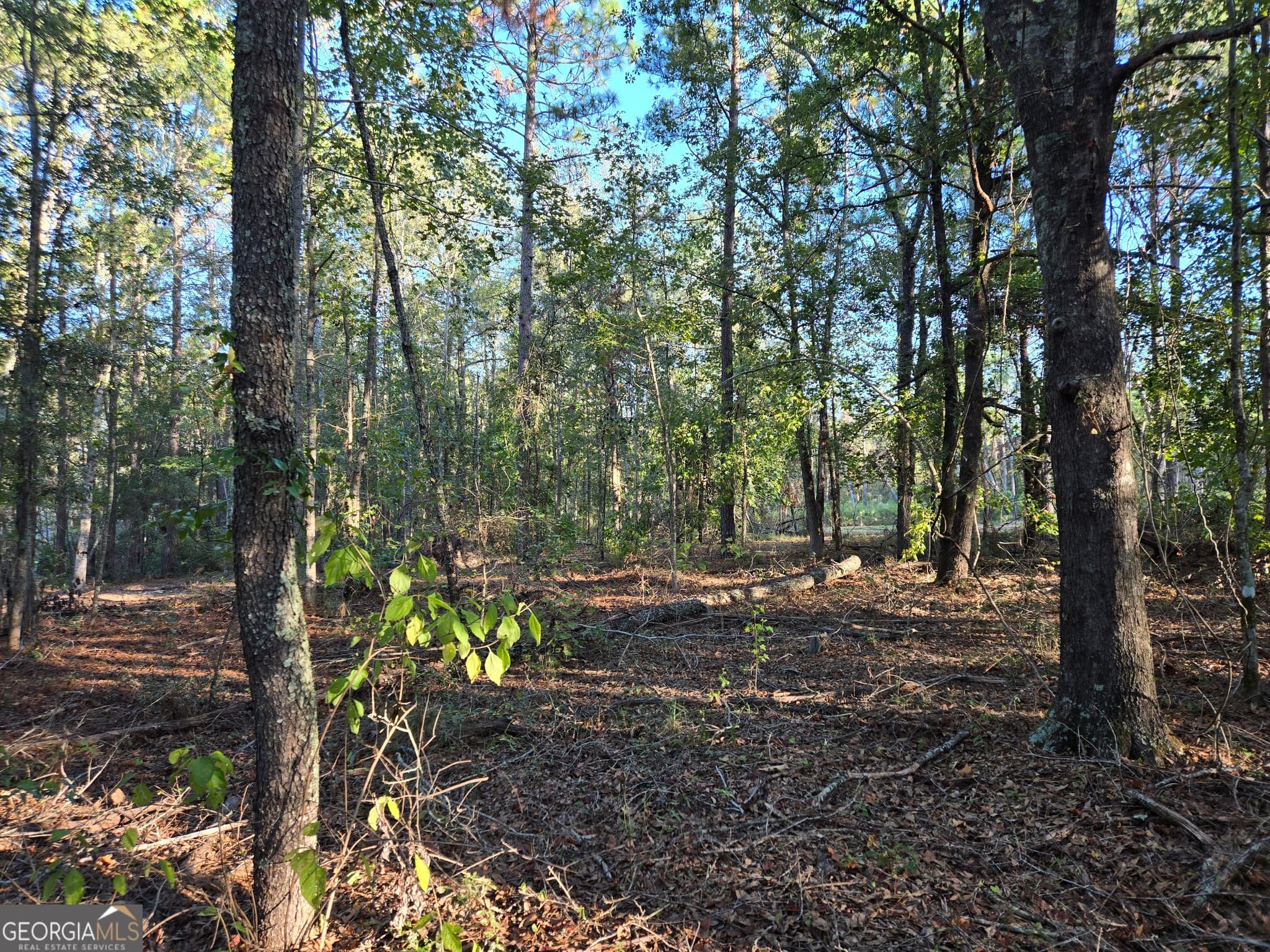 residential lot for sale at 600 Alton Lawson Road, Adrian, GA 31002 — photo 5