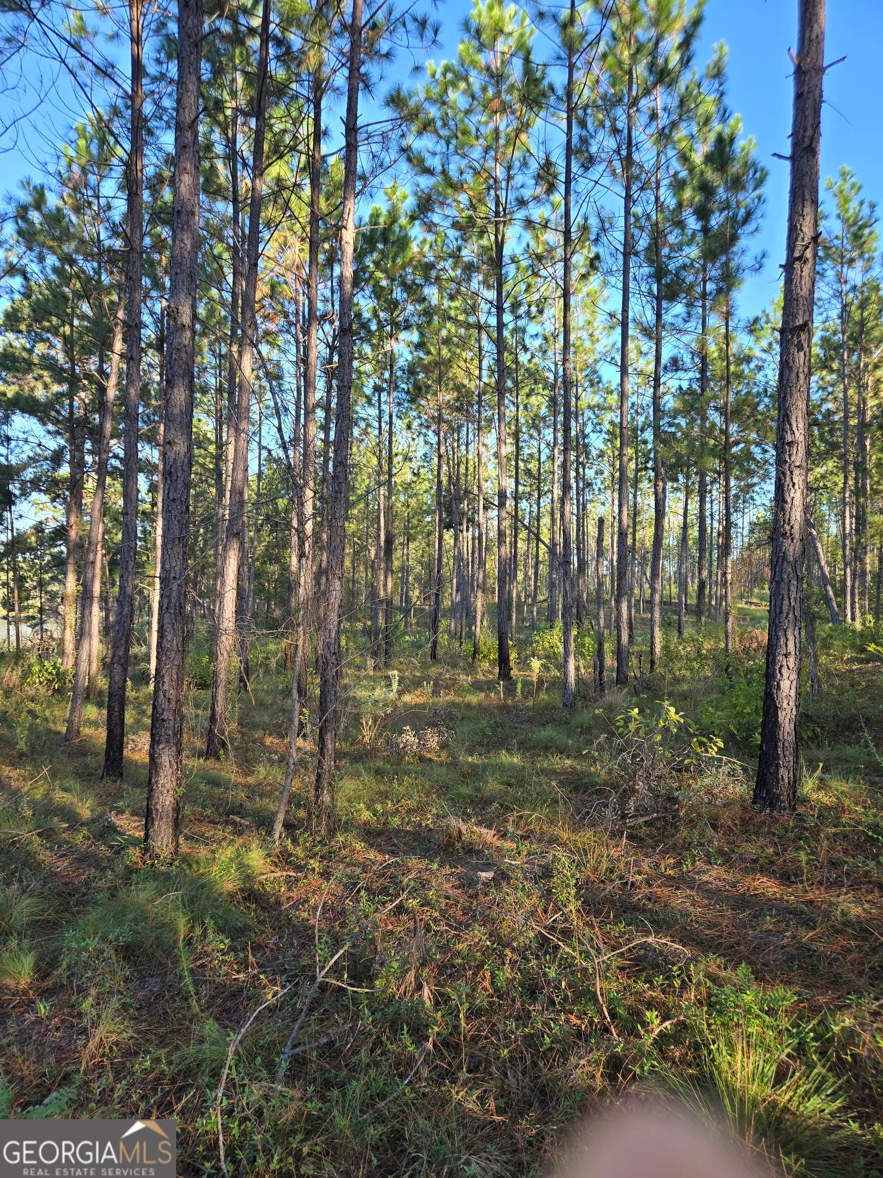 residential lot for sale at 600 Alton Lawson Road, Adrian, GA 31002 — photo 4