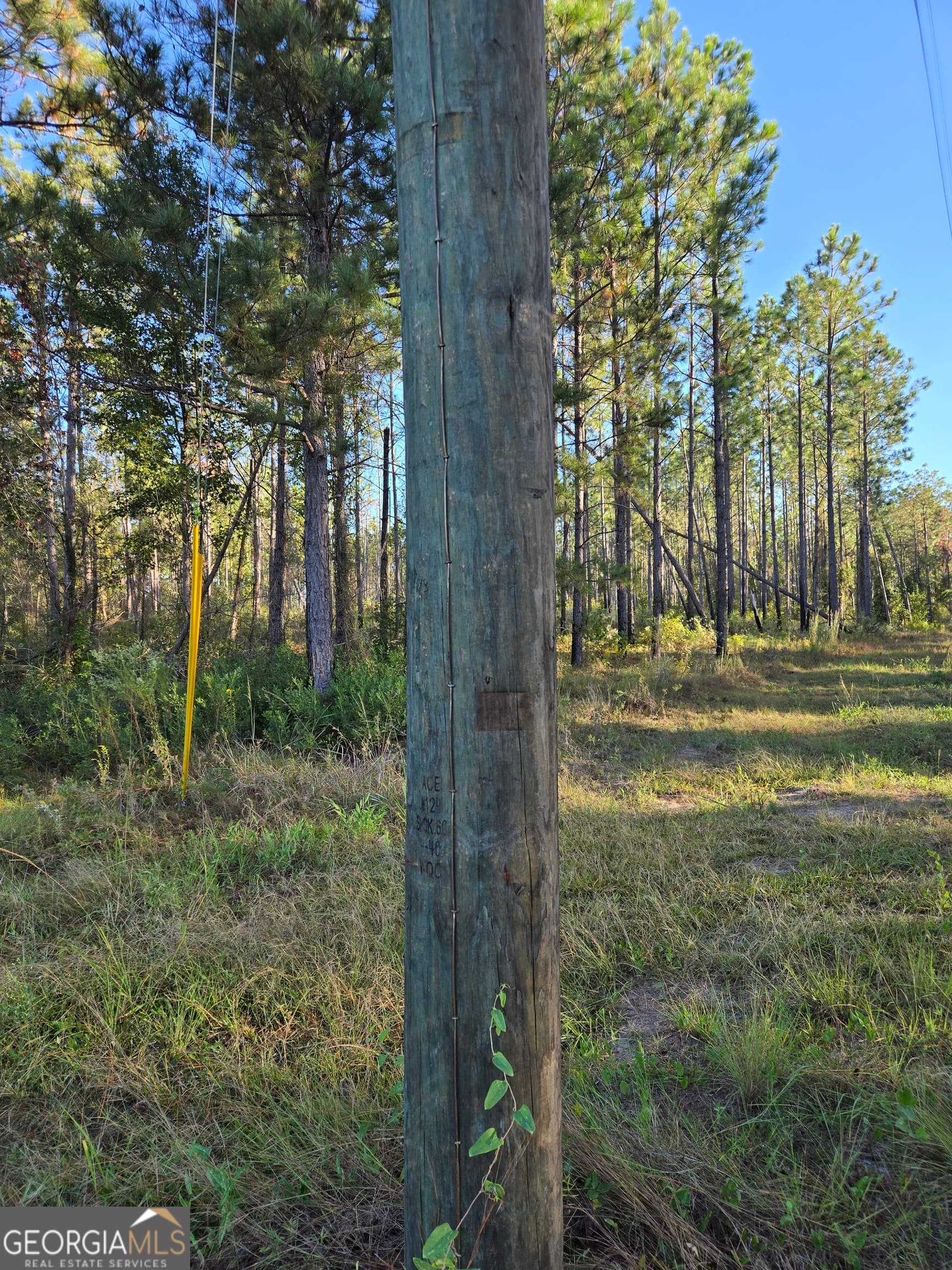 residential lot for sale at 600 Alton Lawson Road, Adrian, GA 31002 — photo 8