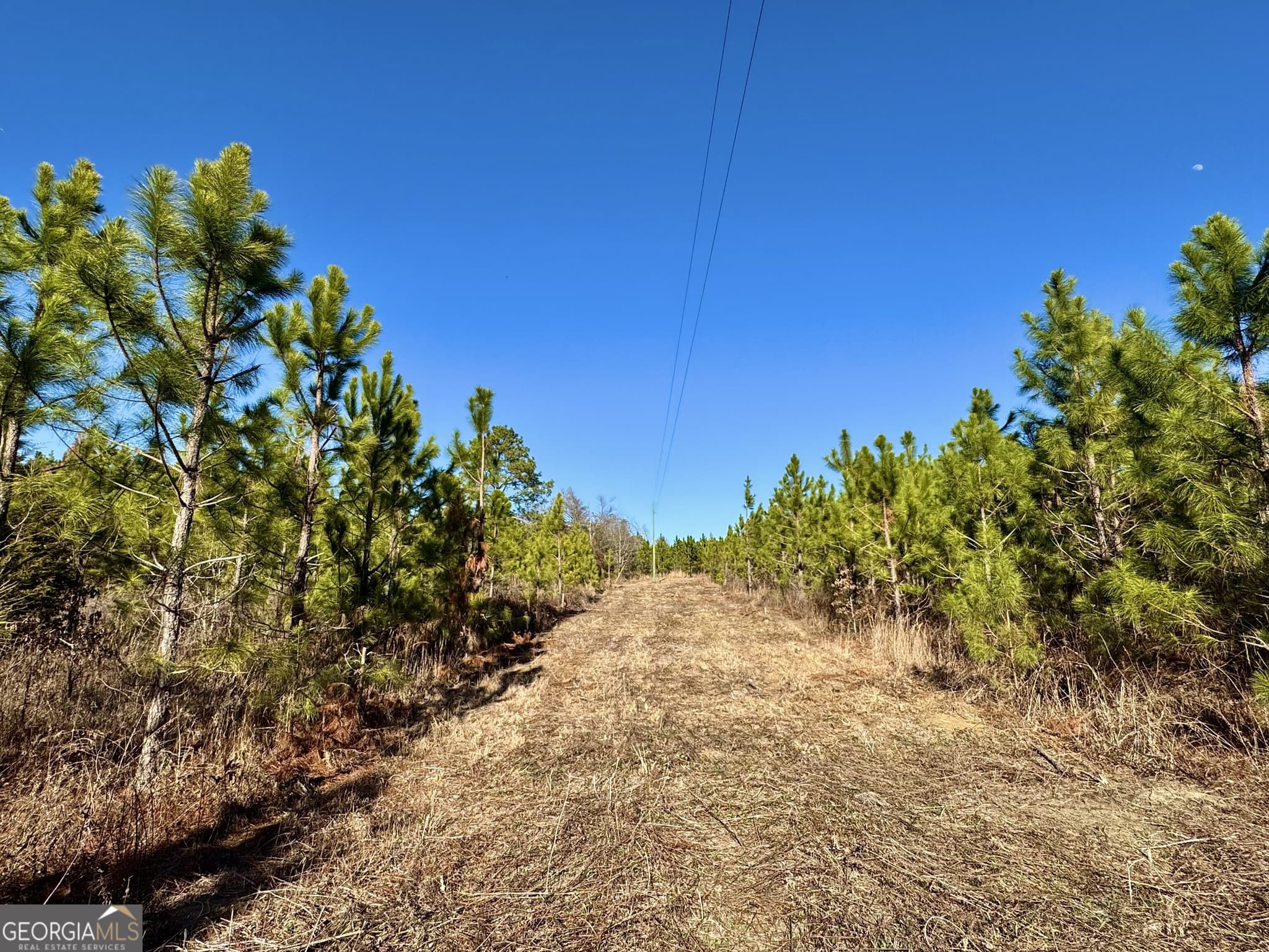 agriculture for sale at 0 McDaniel Drive, Dexter, GA 31019 — photo 2