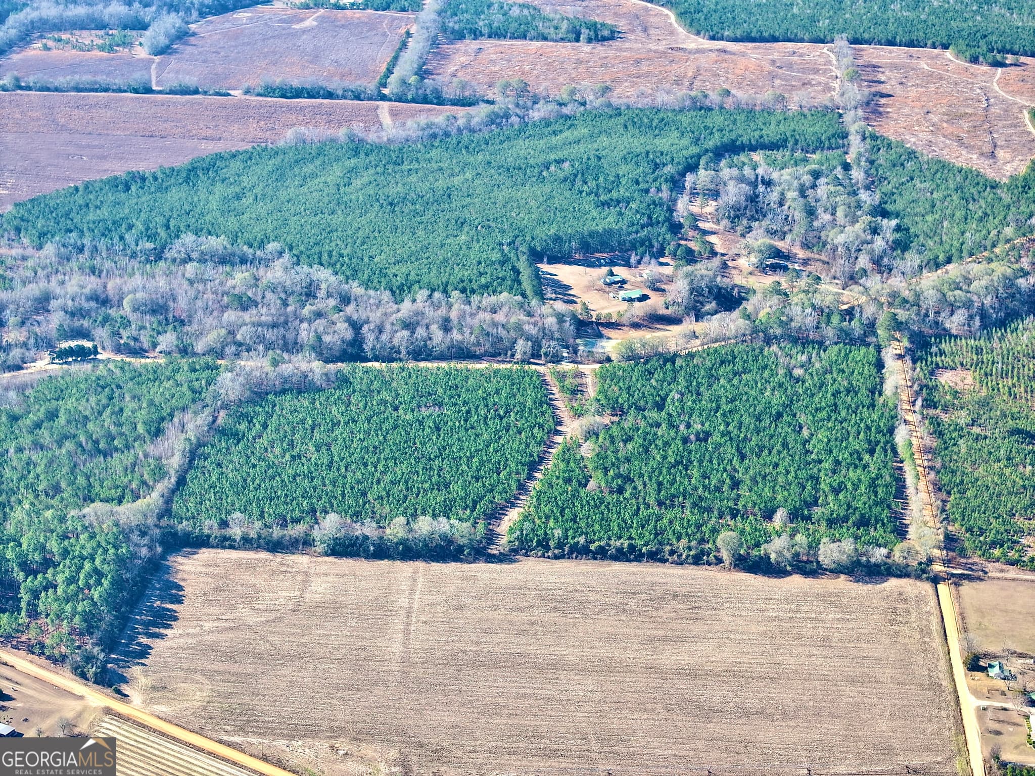 agriculture for sale at 0 McDaniel Drive, Dexter, GA 31019 — photo 3