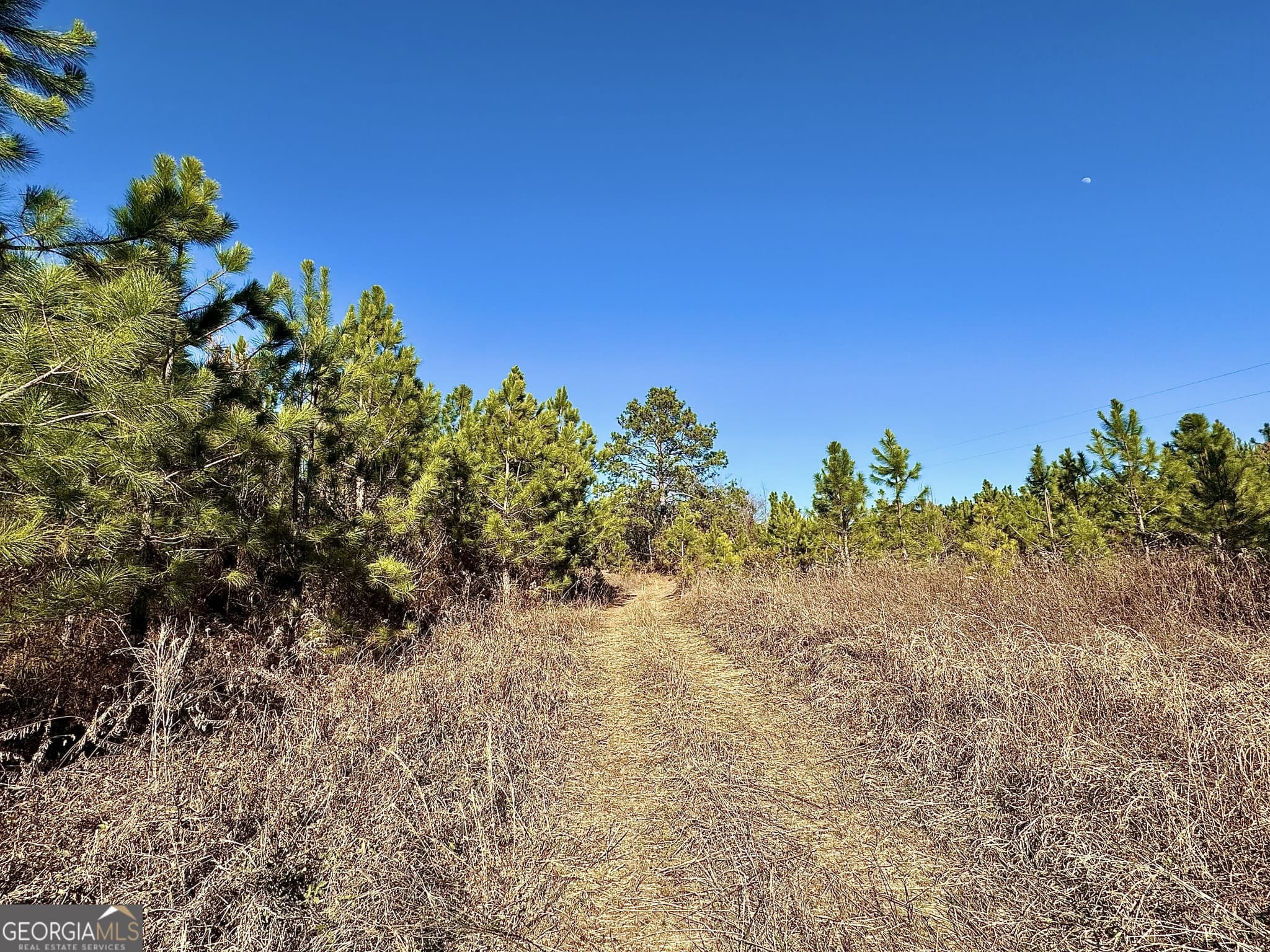 agriculture for sale at 0 McDaniel Drive, Dexter, GA 31019 — photo 1 of 18