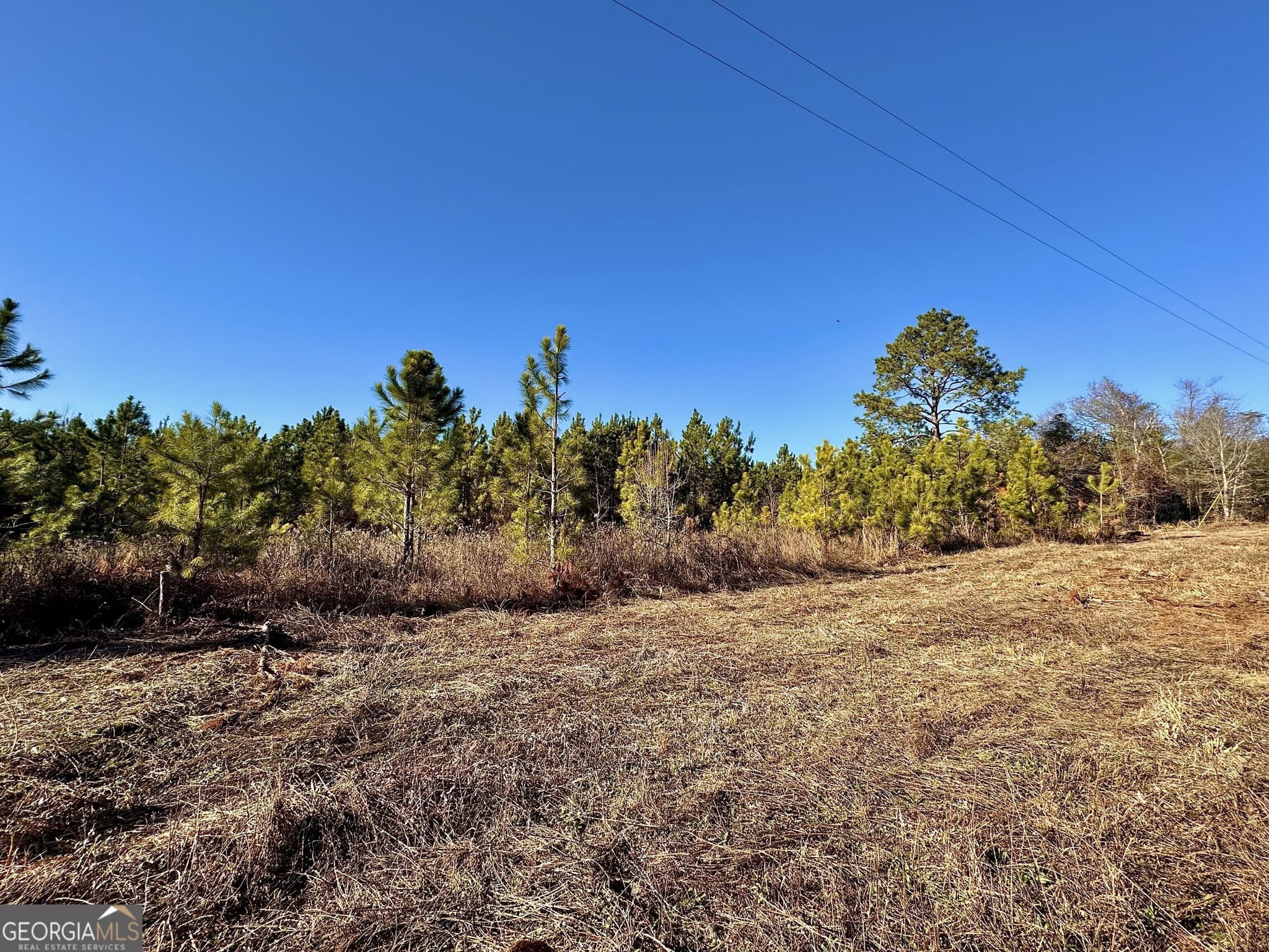 agriculture for sale at 0 McDaniel Drive, Dexter, GA 31019 — photo 9