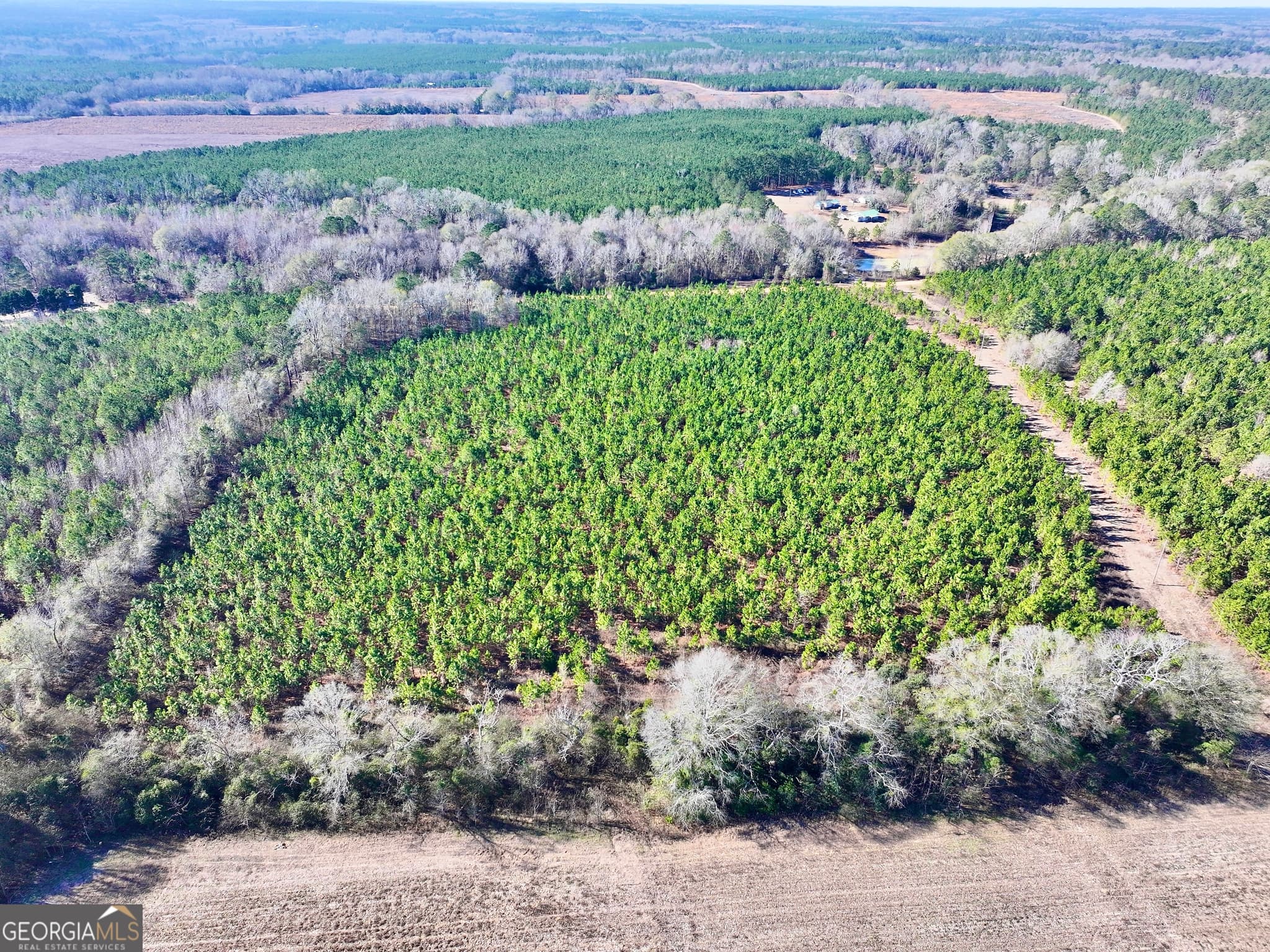 agriculture for sale at 0 McDaniel Drive, Dexter, GA 31019 — photo 10