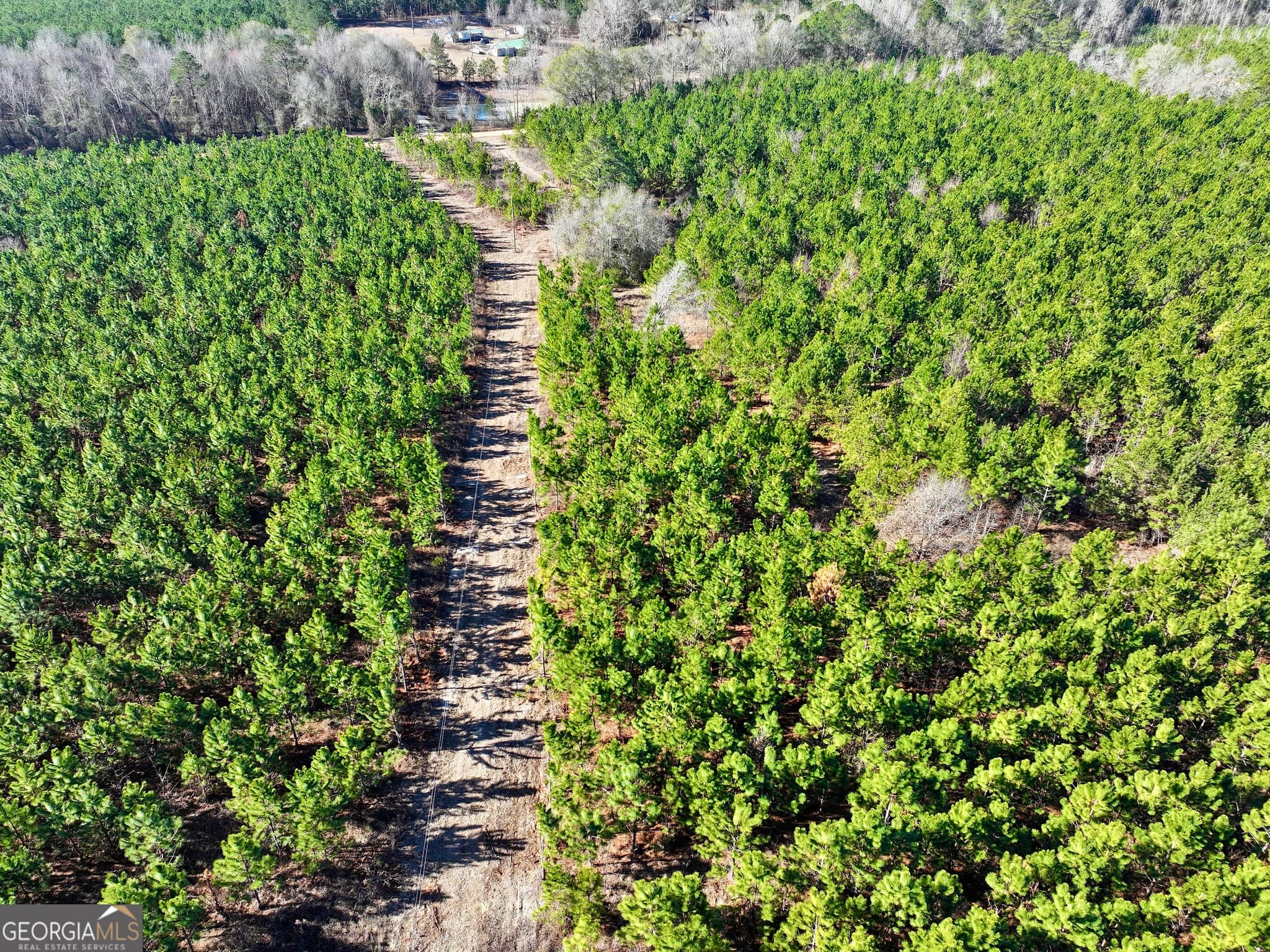 agriculture for sale at 0 McDaniel Drive, Dexter, GA 31019 — photo 4