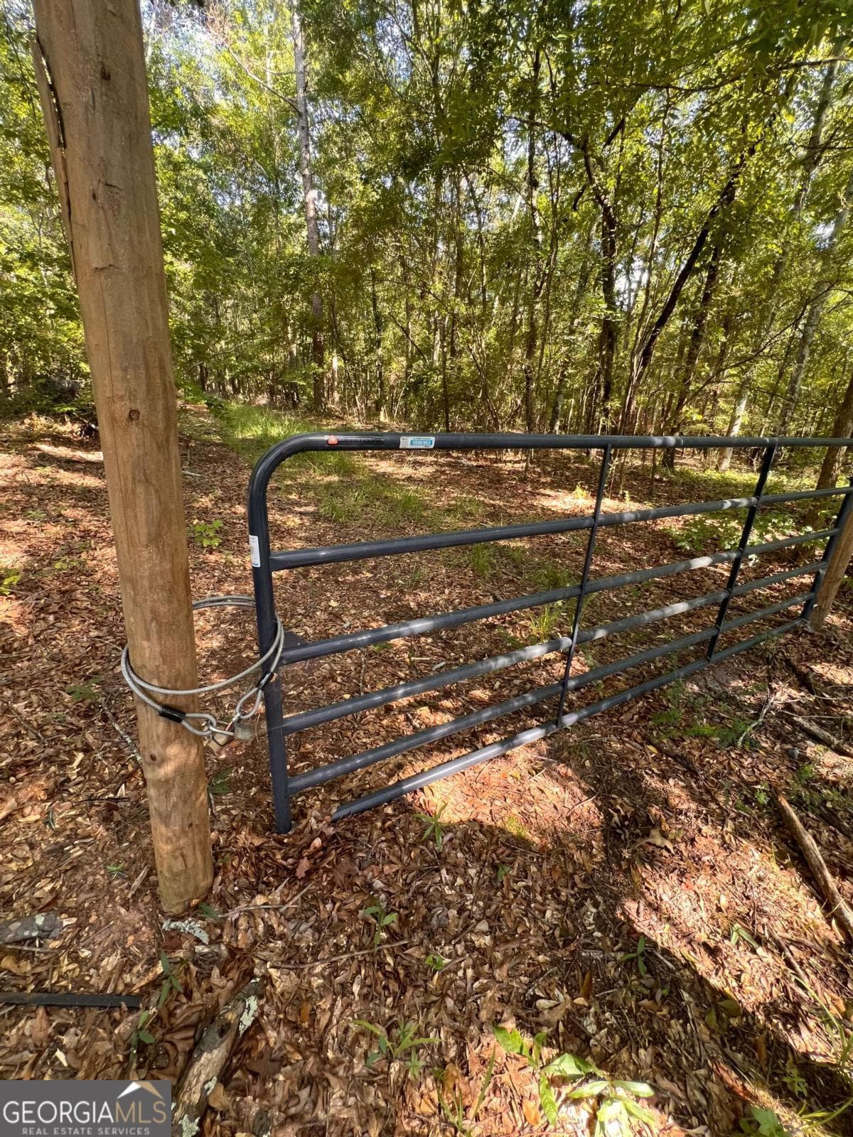 agriculture for sale at 0 Rocky Drive, Colbert, GA 30628 — photo 5