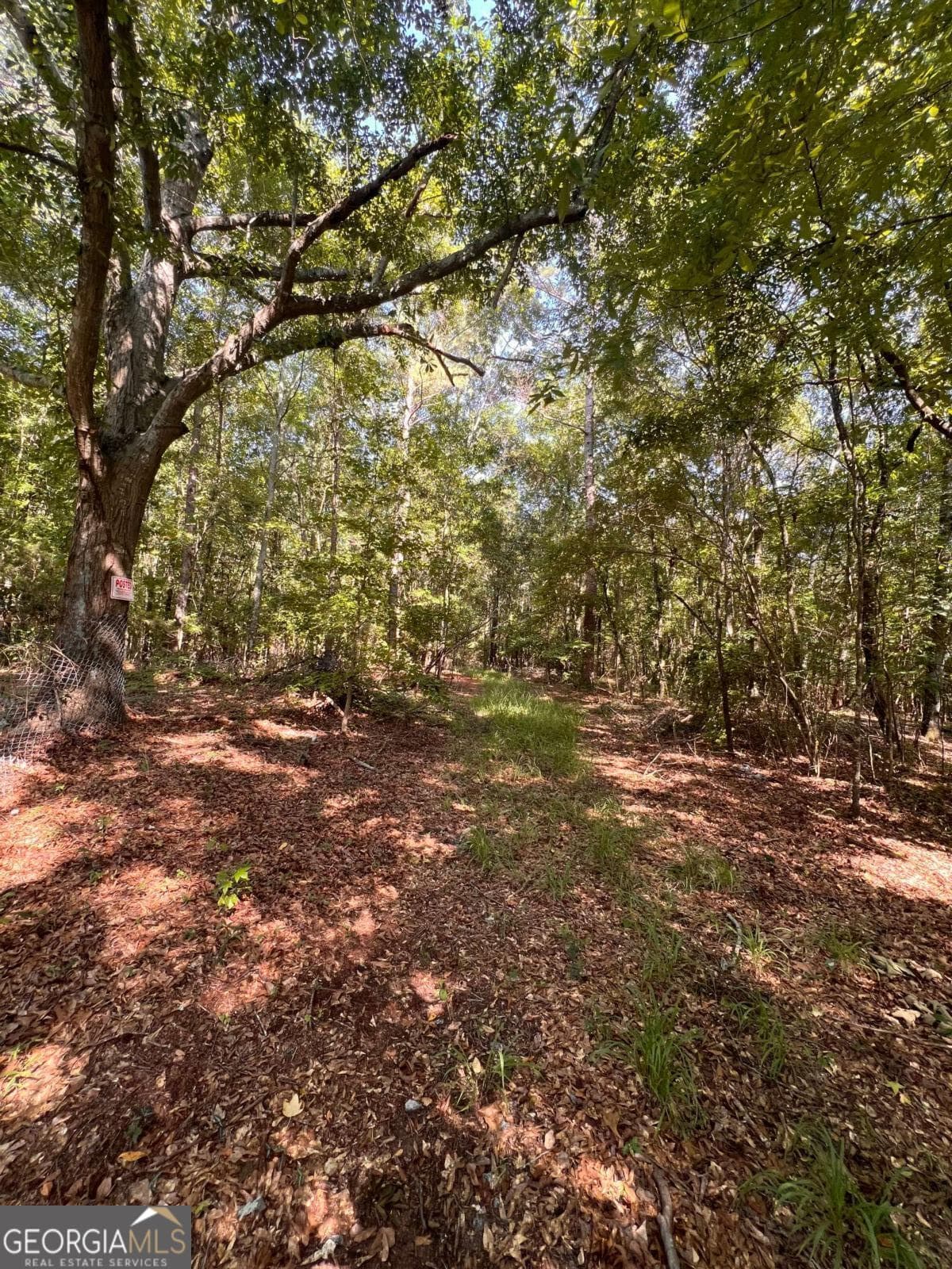 agriculture for sale at 0 Rocky Drive, Colbert, GA 30628 — photo 4