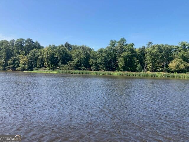 residential lot for sale at 298 Burtom Road, Eatonton, GA 31024 — photo 3