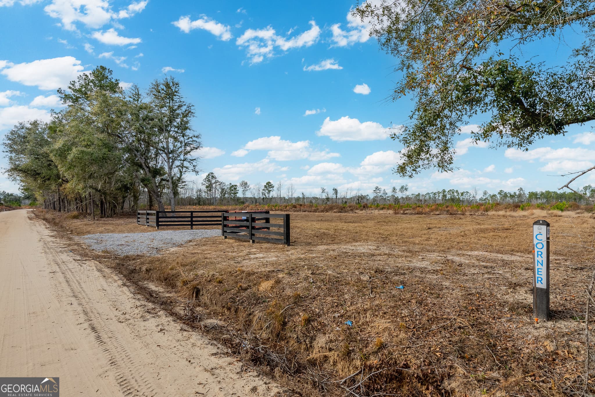 agriculture for sale at LOT 14 Bennett Grooms Road, Brooklet, GA 30415 — photo 2