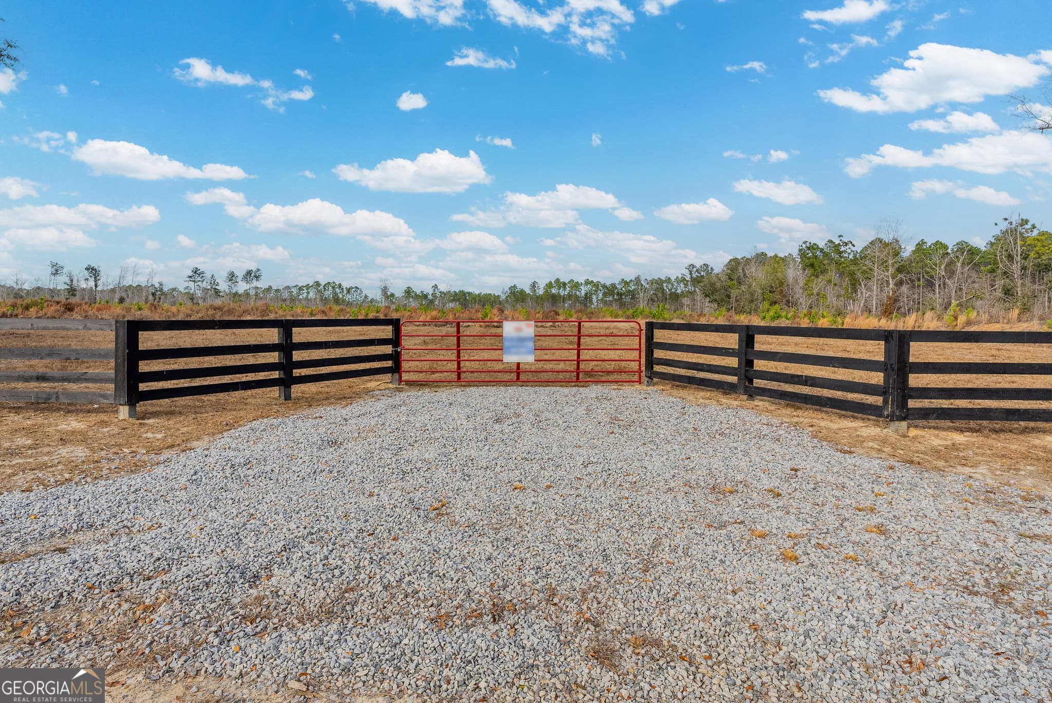agriculture for sale at LOT 14 Bennett Grooms Road, Brooklet, GA 30415 — photo 3
