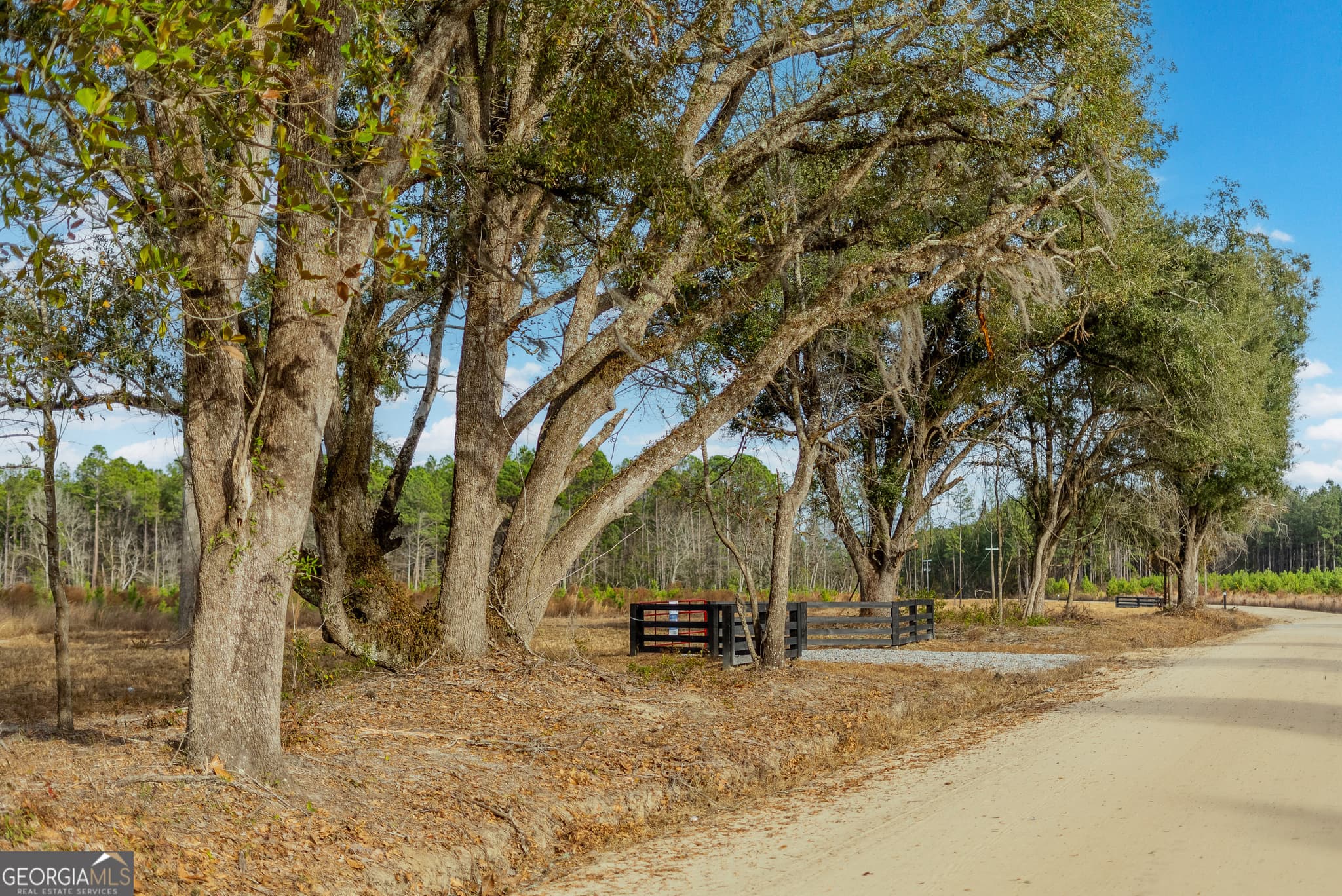 agriculture for sale at LOT 14 Bennett Grooms Road, Brooklet, GA 30415 — photo 4