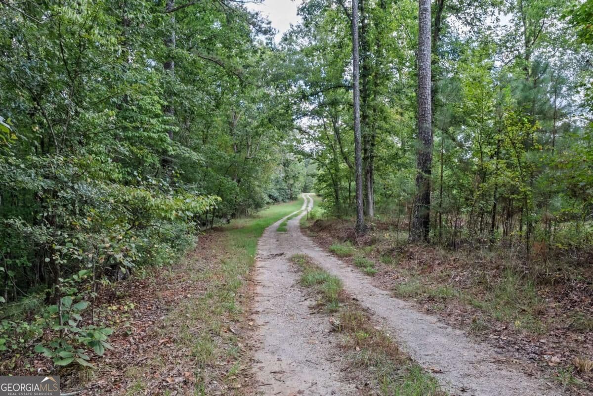 4 bedroom, 3.5 bathroom, 3,288 sq ft single family residence for sale at 1032 Washington Road, Lexington, GA 30648 — photo 3