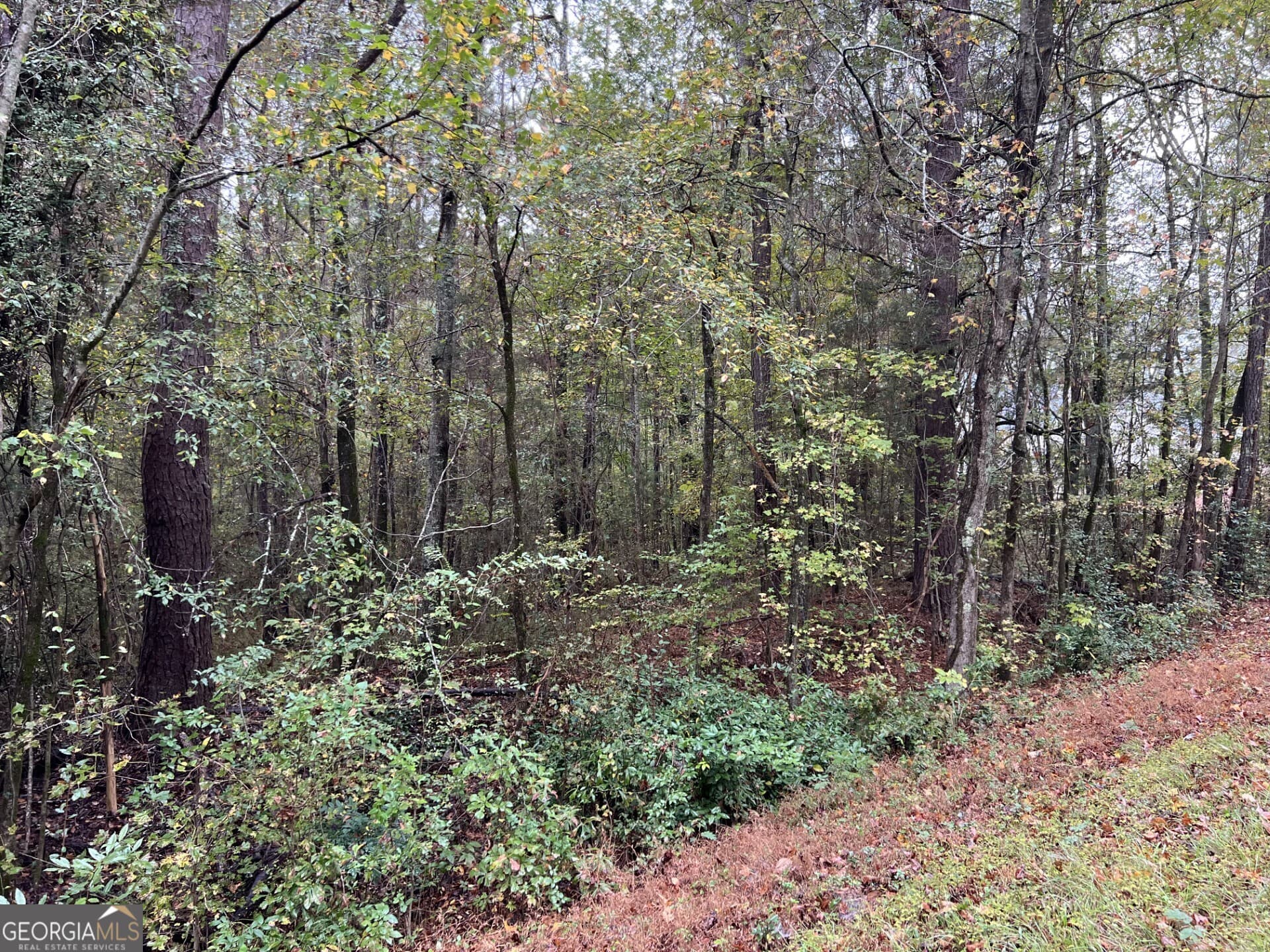 residential lot for sale at 266 Clinton Crossing Drive, Gray, GA 31032 — photo 2