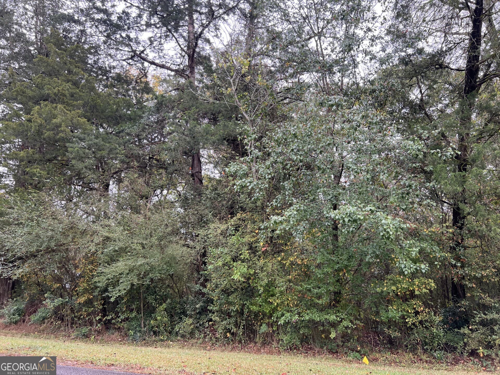 residential lot for sale at 266 Clinton Crossing Drive, Gray, GA 31032 — photo 3
