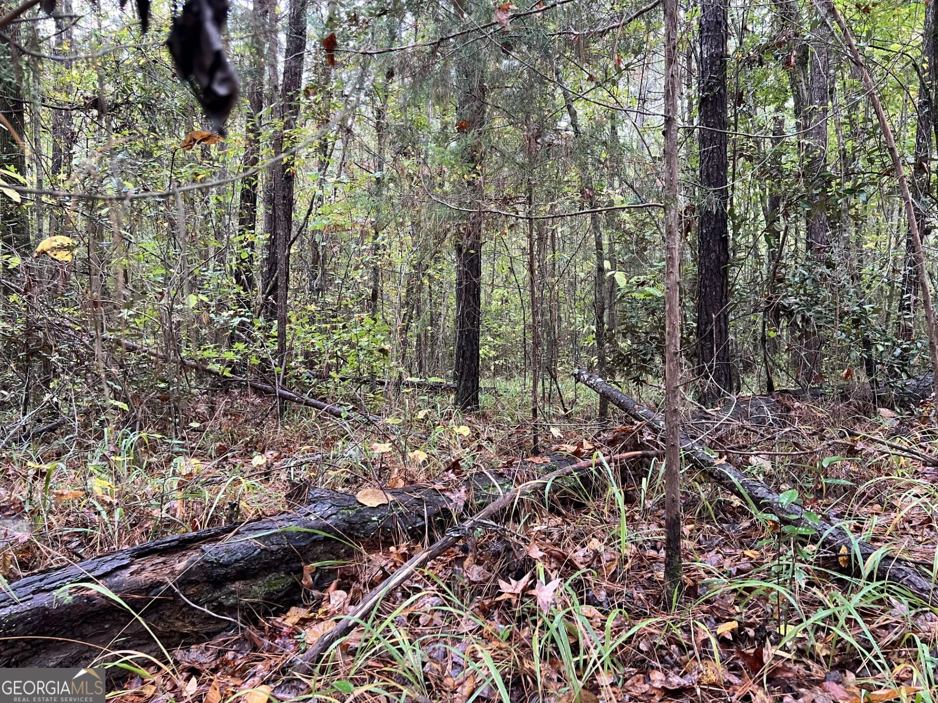 residential lot for sale at 266 Clinton Crossing Drive, Gray, GA 31032 — photo 1 of 3