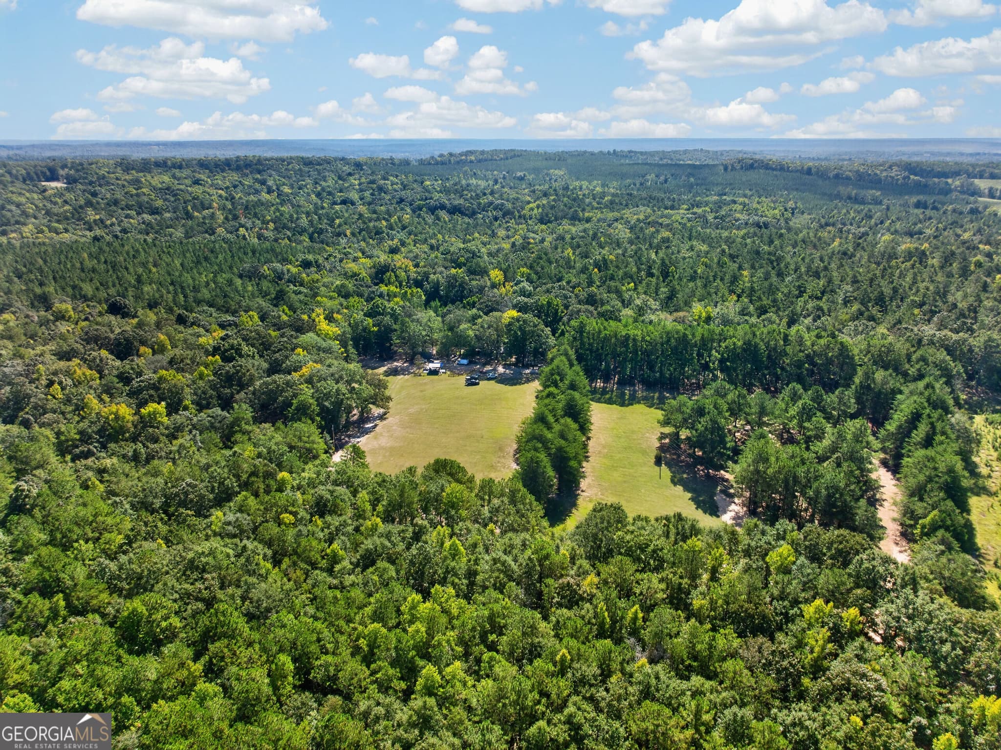 3 bedroom, 1 bathroom, 1,000 sq ft farm for sale at 881 King Road, Gordon, GA 31031 — photo 7
