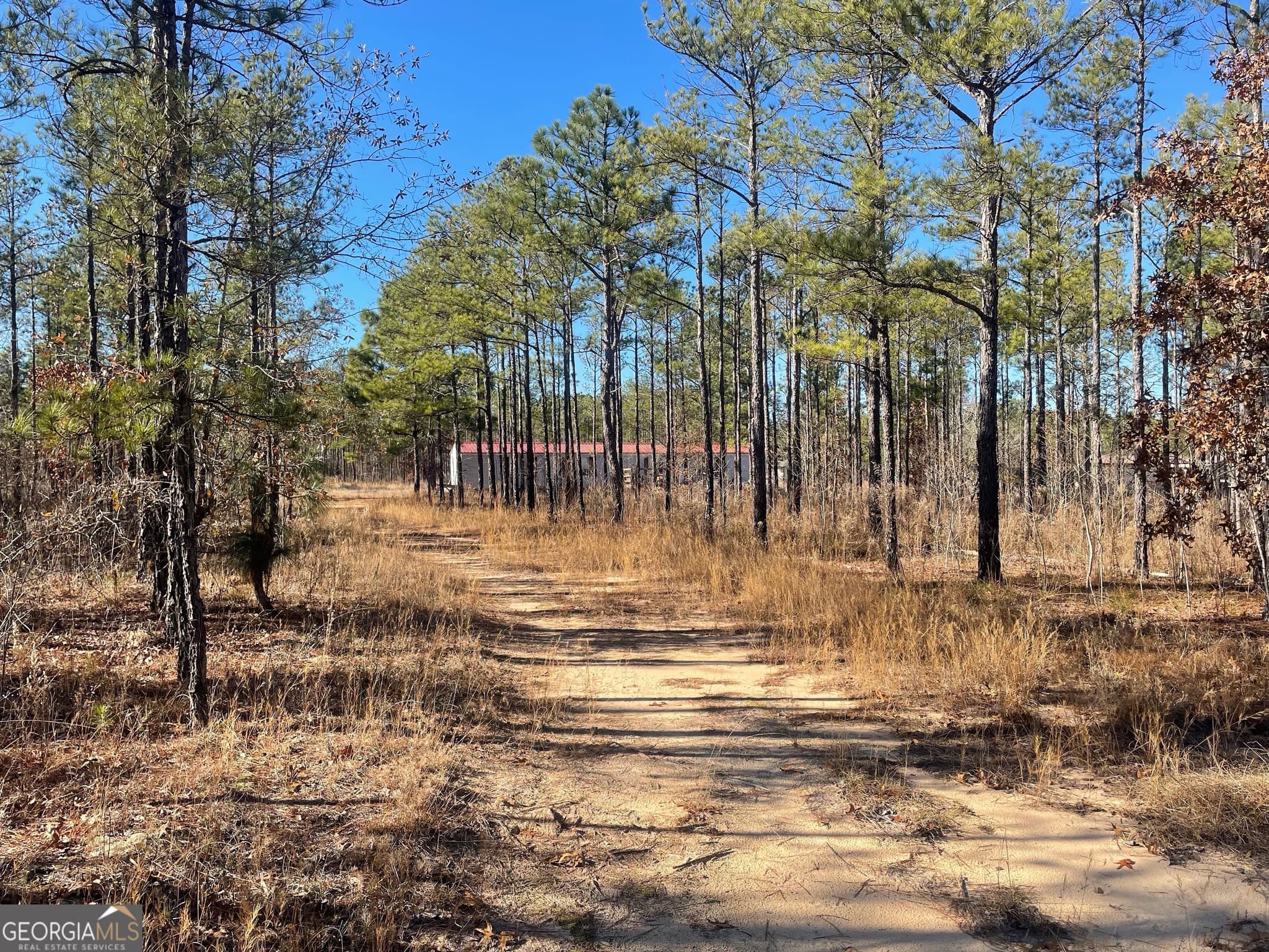 97 Paige Drive, Mauk, GA 31058 — most recent listing photo