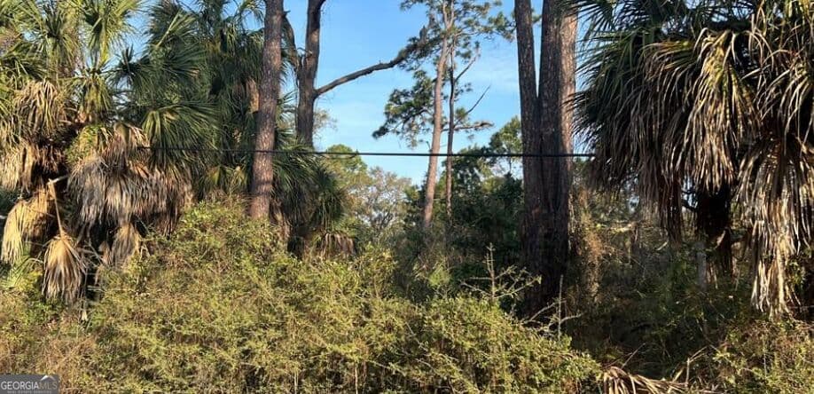 unimproved land for sale at 1109 Solomon Avenue, Tybee Island, GA 31328 — photo 1 of 1