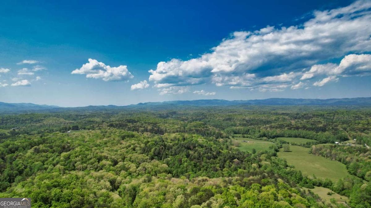2 bedroom, 2 bathroom, 984 sq ft cabin,single family residence for sale at 210 Shade Tree Lane, Mineral Bluff, GA 30559 — photo 6