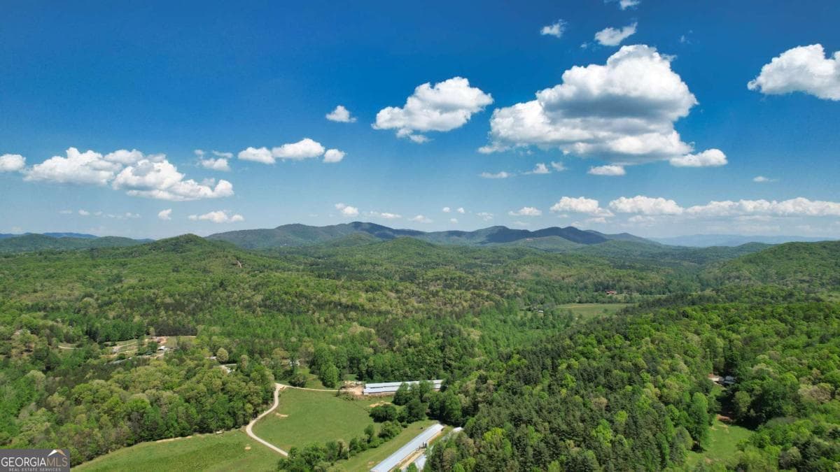 2 bedroom, 2 bathroom, 984 sq ft cabin,single family residence for sale at 210 Shade Tree Lane, Mineral Bluff, GA 30559 — photo 5