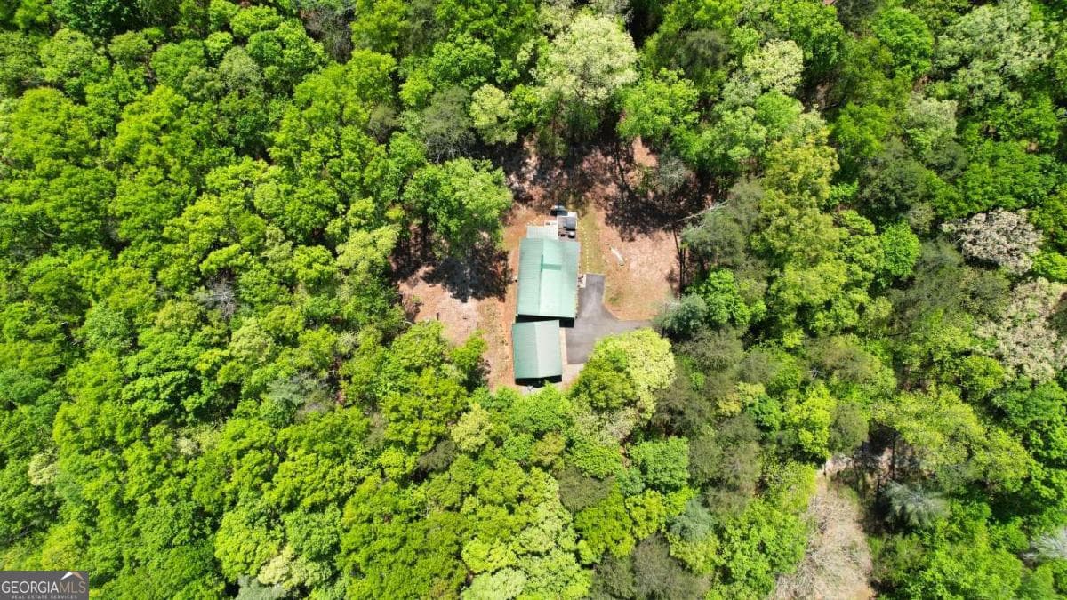 2 bedroom, 2 bathroom, 984 sq ft cabin,single family residence for sale at 210 Shade Tree Lane, Mineral Bluff, GA 30559 — photo 4