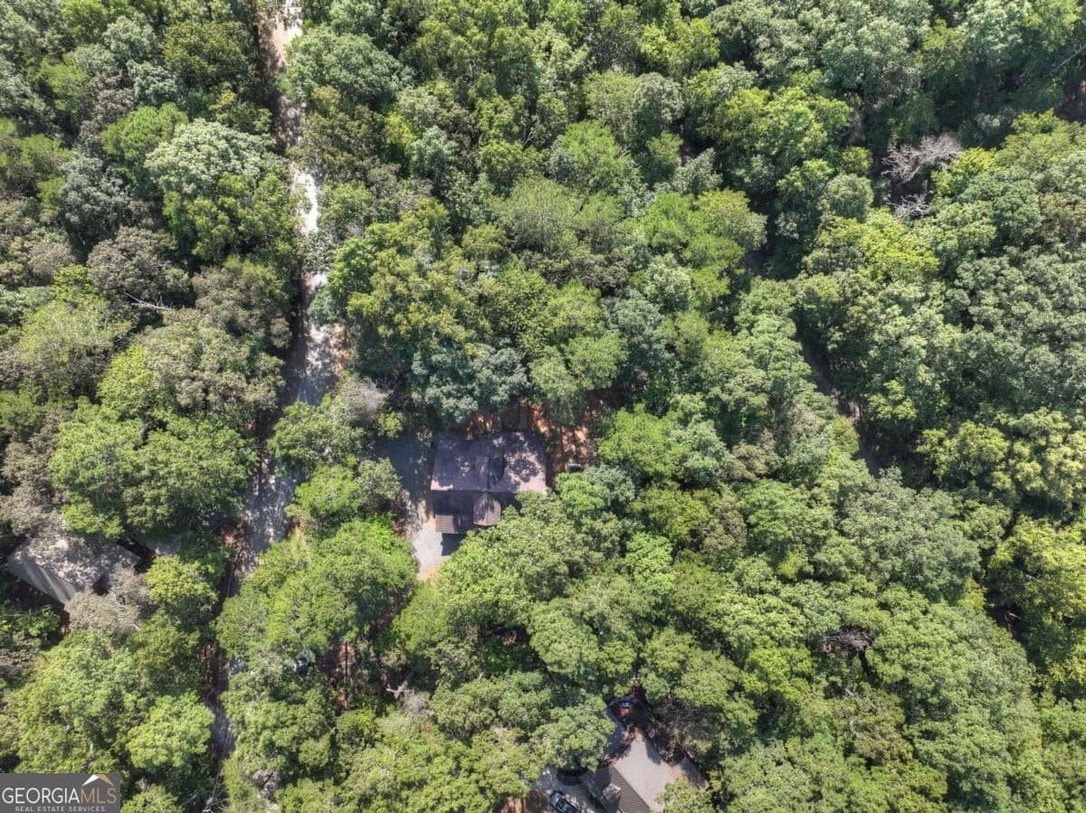 4 bedroom, 3 bathroom, 3,237 sq ft cabin,single family residence for sale at 1503 Garnet Drive, Ellijay, GA 30540 — photo 5