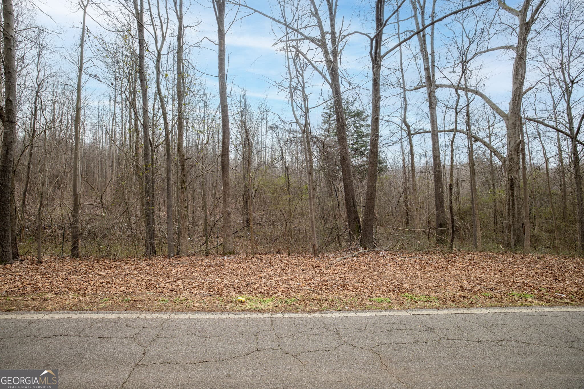 unimproved land for sale at 740 Broad River Church Road TRACT B, Eastanollee, GA 30538 — photo 2