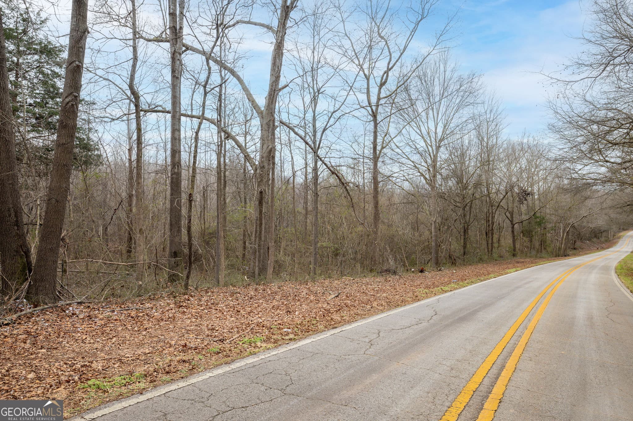 unimproved land for sale at 740 Broad River Church Road TRACT B, Eastanollee, GA 30538 — photo 3