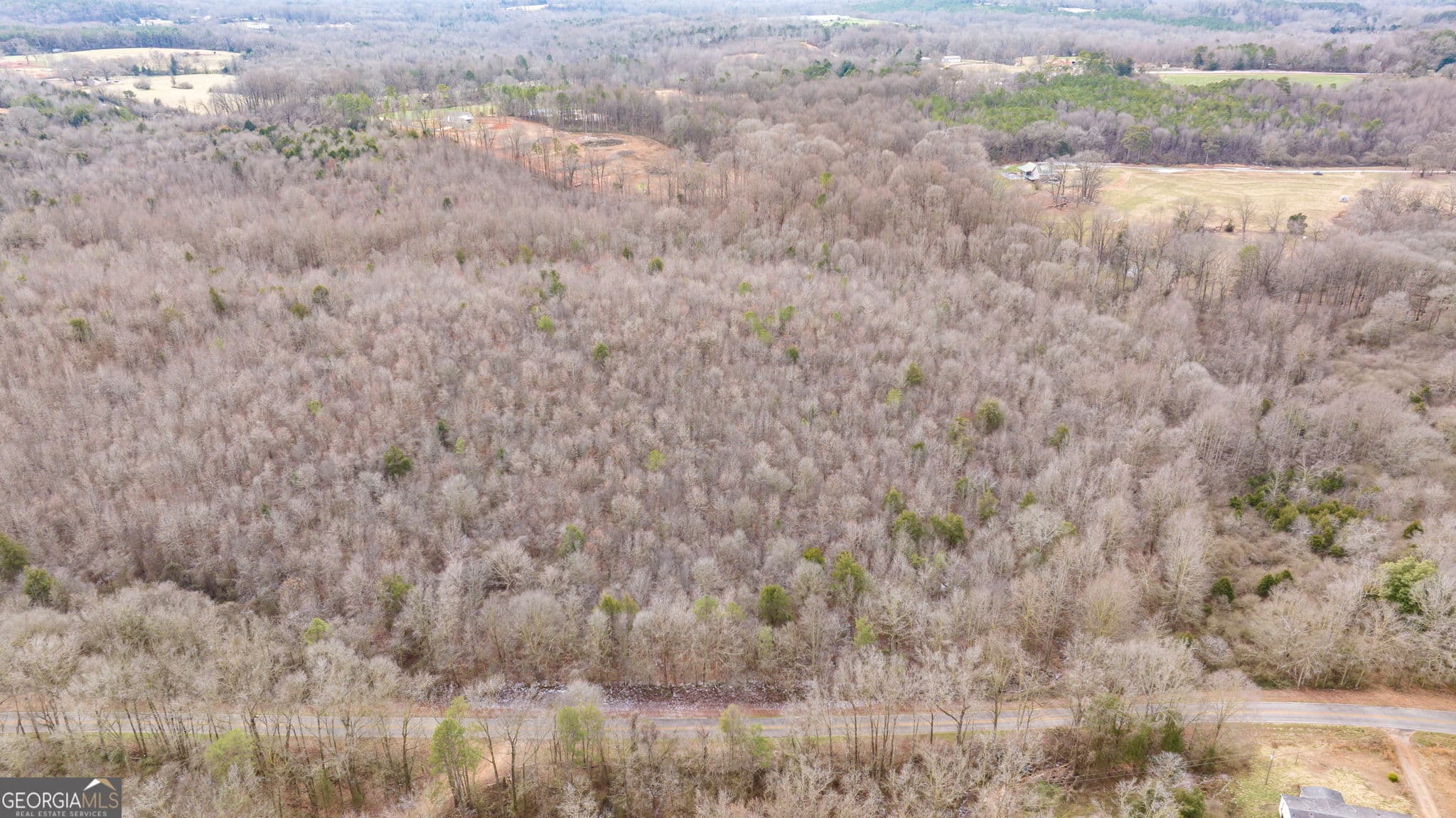 unimproved land for sale at 740 Broad River Church Road TRACT B, Eastanollee, GA 30538 — photo 4