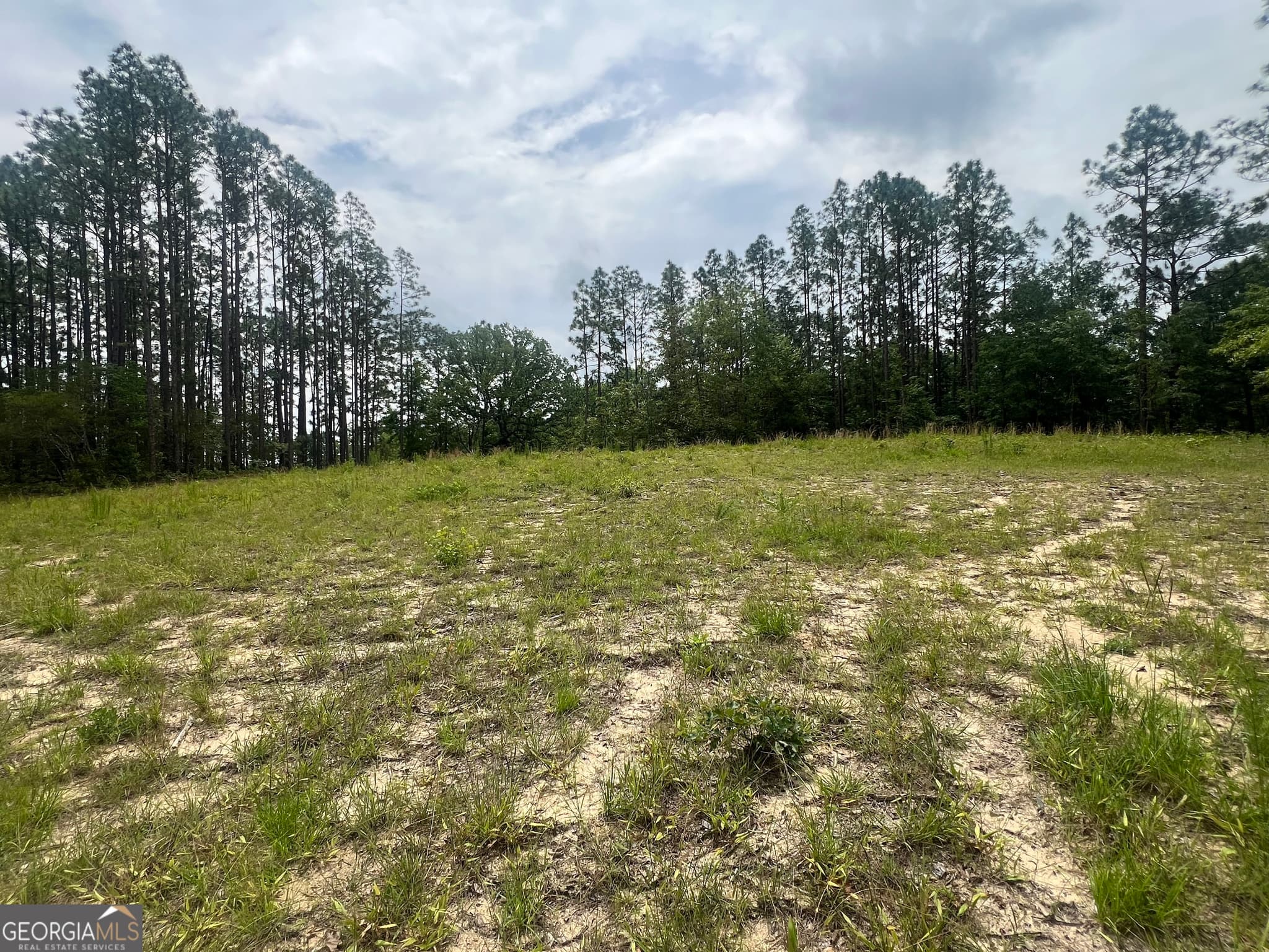 agriculture sold at 3965 Willow Hill Road, Portal, GA 30450