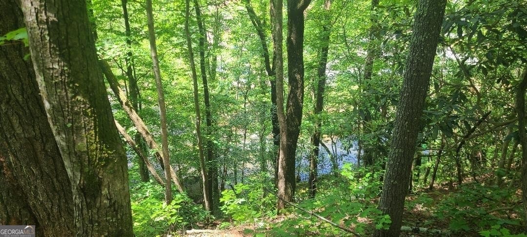residential lot for sale at 0 Ber Weg, Helen, GA 30545 — photo 2