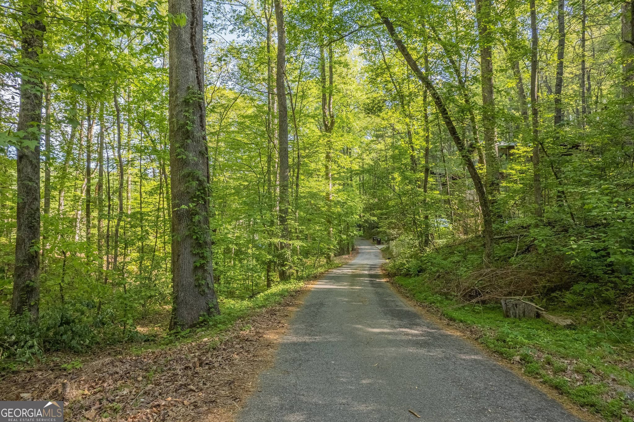residential lot for sale at 0 Ber Weg, Helen, GA 30545 — photo 6