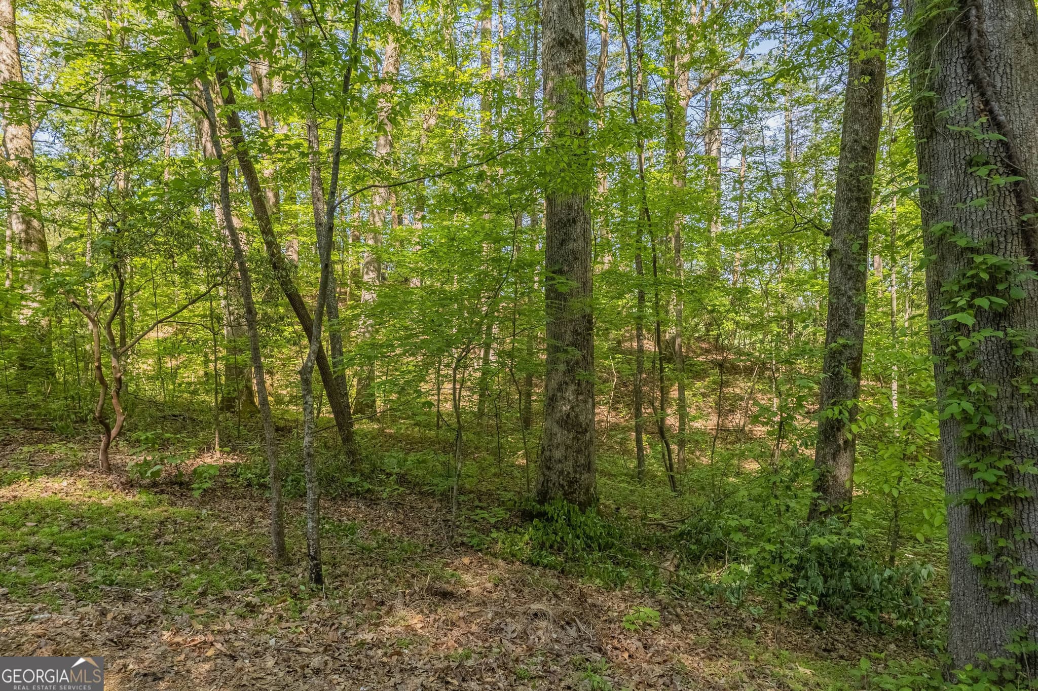 residential lot for sale at 0 Ber Weg, Helen, GA 30545 — photo 7
