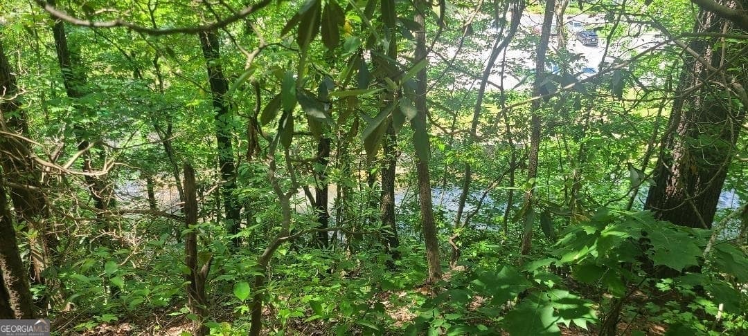 residential lot for sale at 0 Ber Weg, Helen, GA 30545 — photo 3