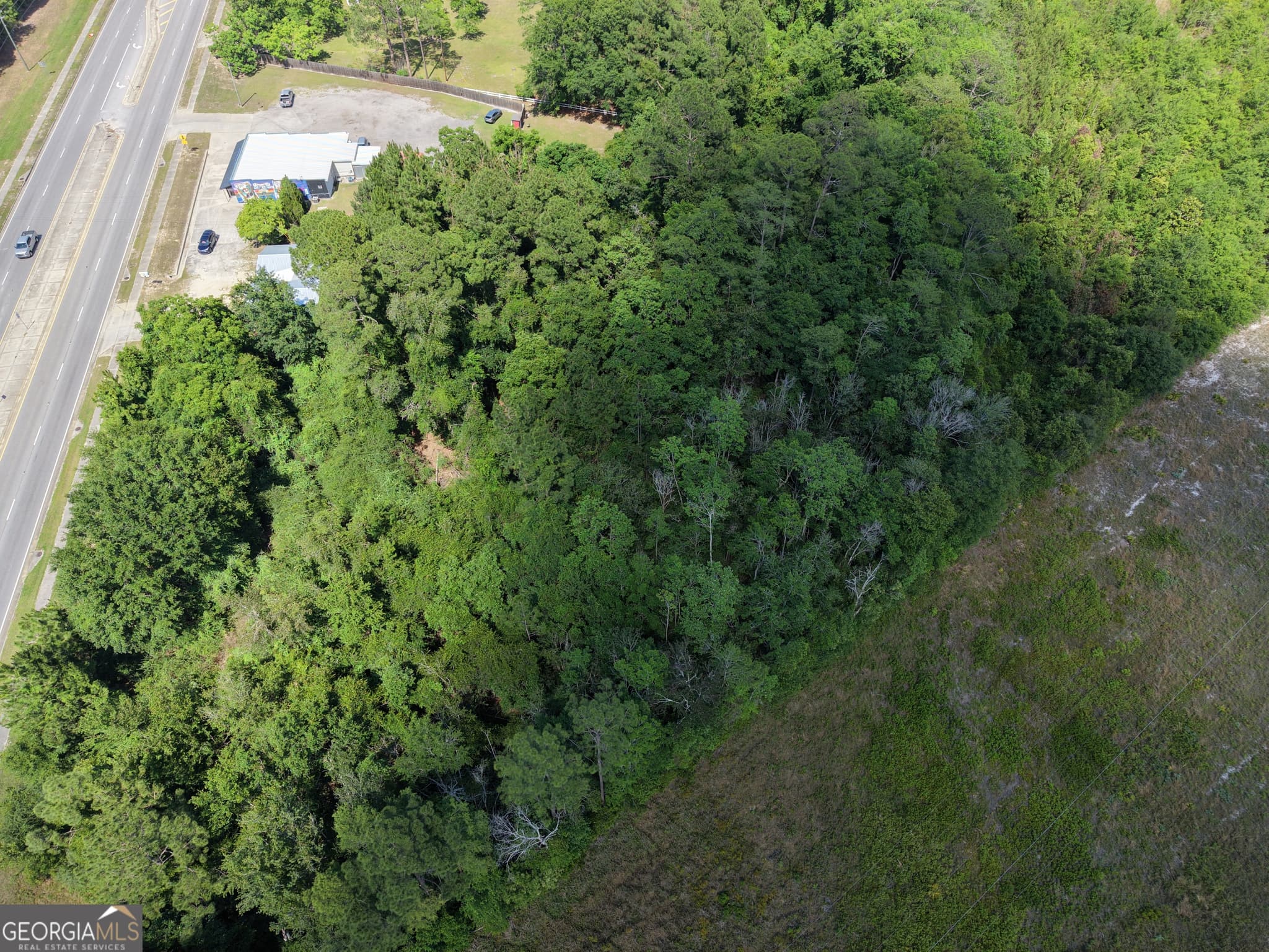 unimproved land for sale at 0 US HWY 84, Jesup, GA 31545 — photo 6