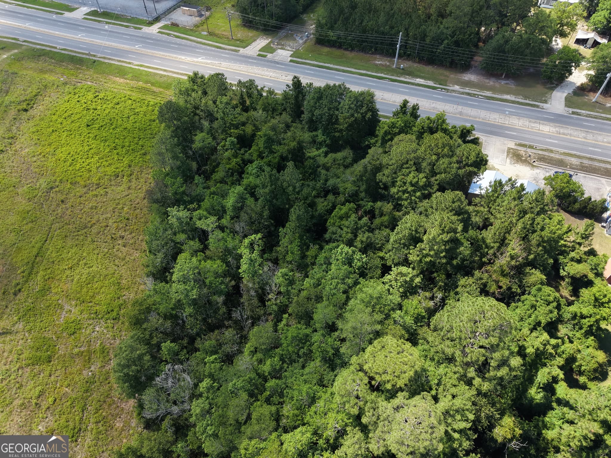 unimproved land for sale at 0 US HWY 84, Jesup, GA 31545 — photo 7