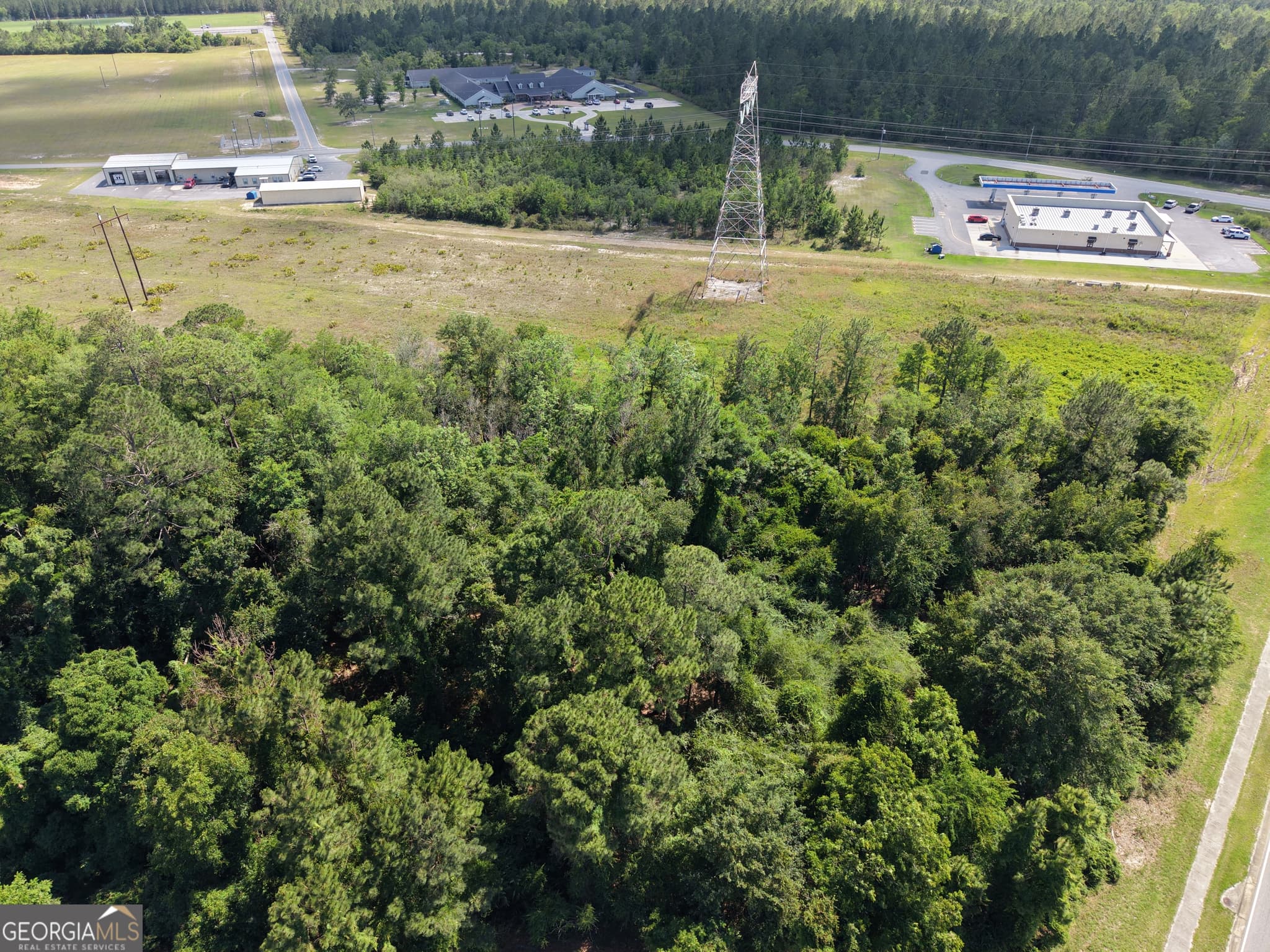 unimproved land for sale at 0 US HWY 84, Jesup, GA 31545 — photo 3