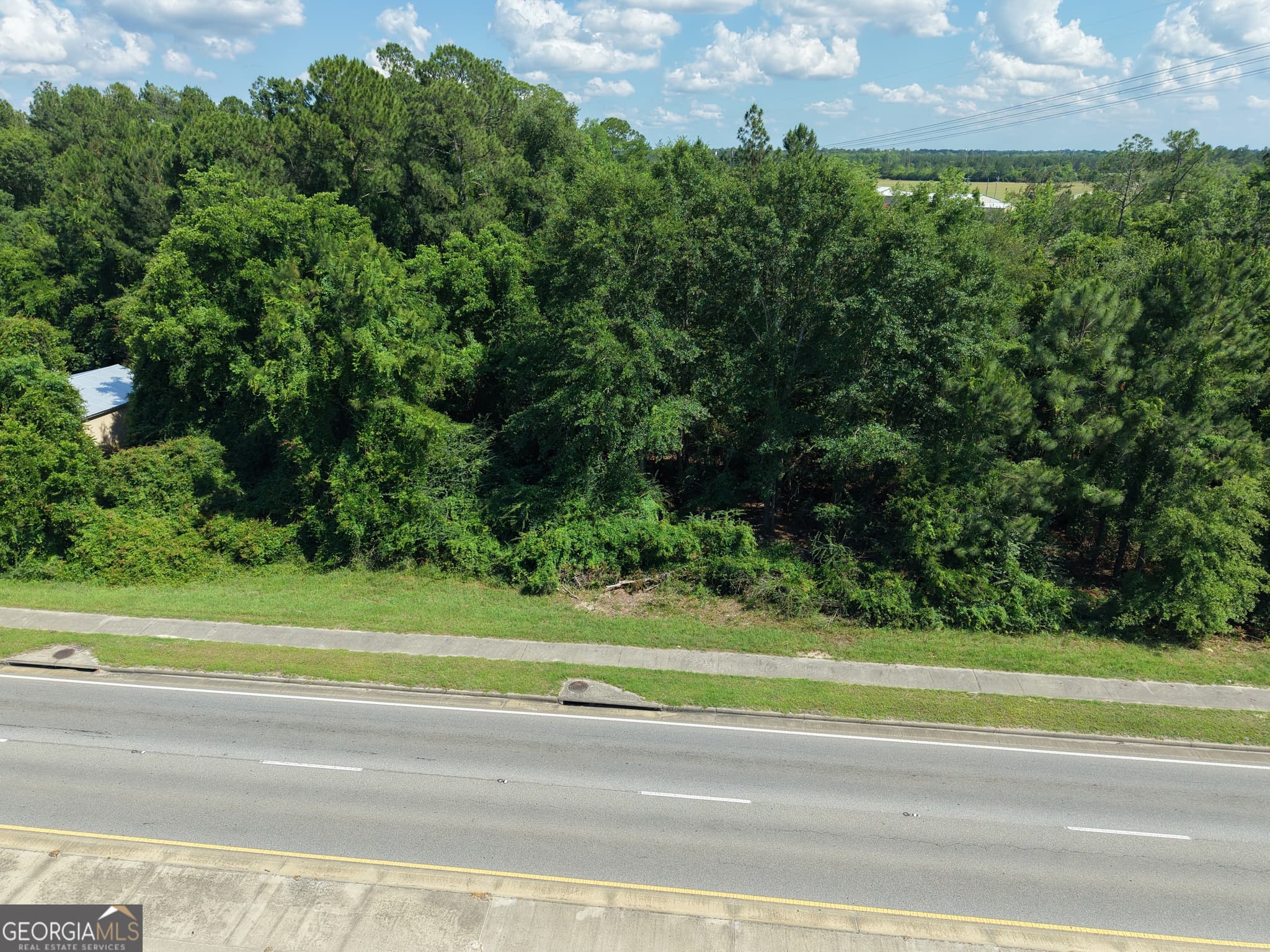 unimproved land for sale at 0 US HWY 84, Jesup, GA 31545 — photo 9