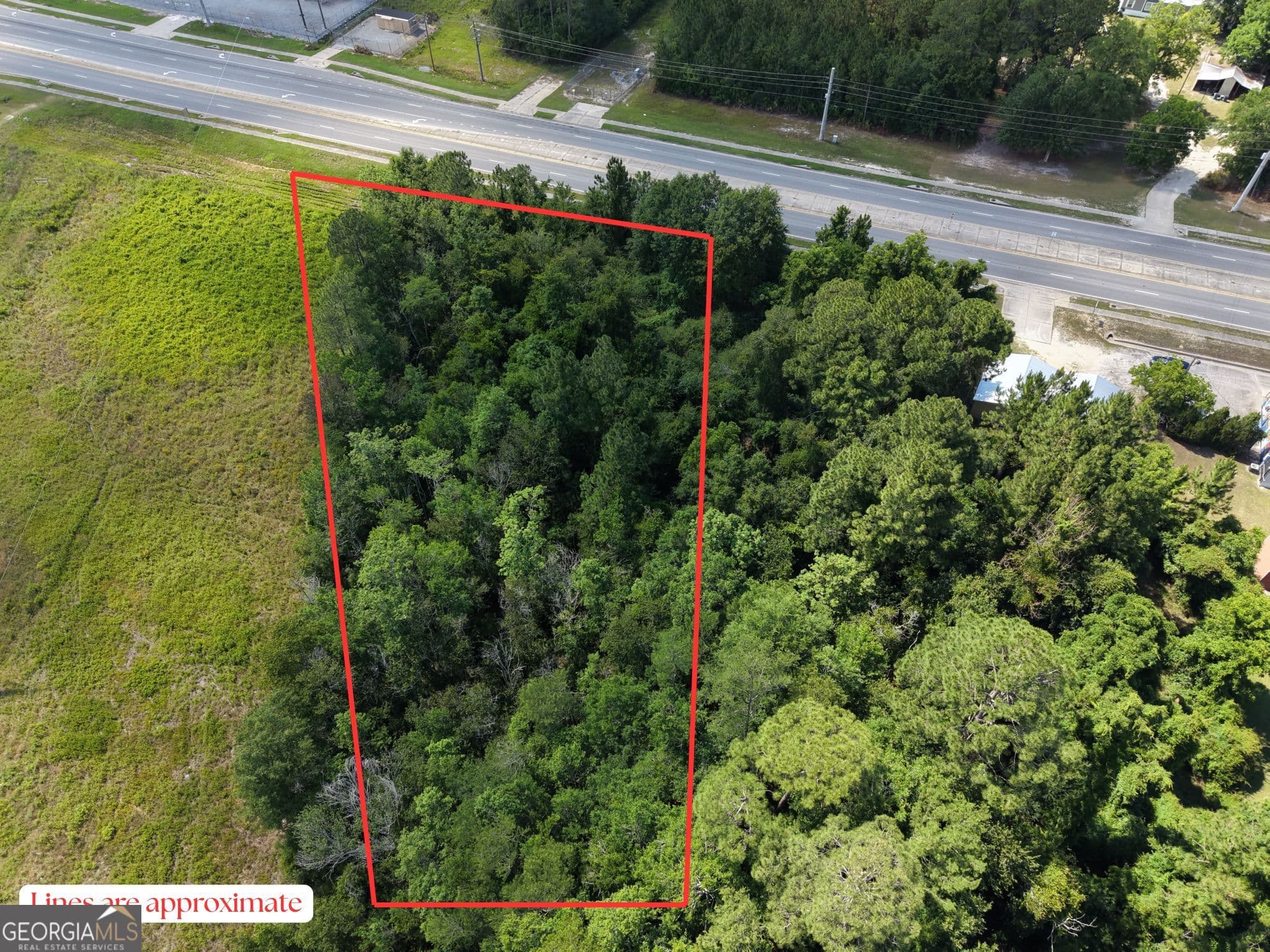 unimproved land for sale at 0 US HWY 84, Jesup, GA 31545 — photo 10