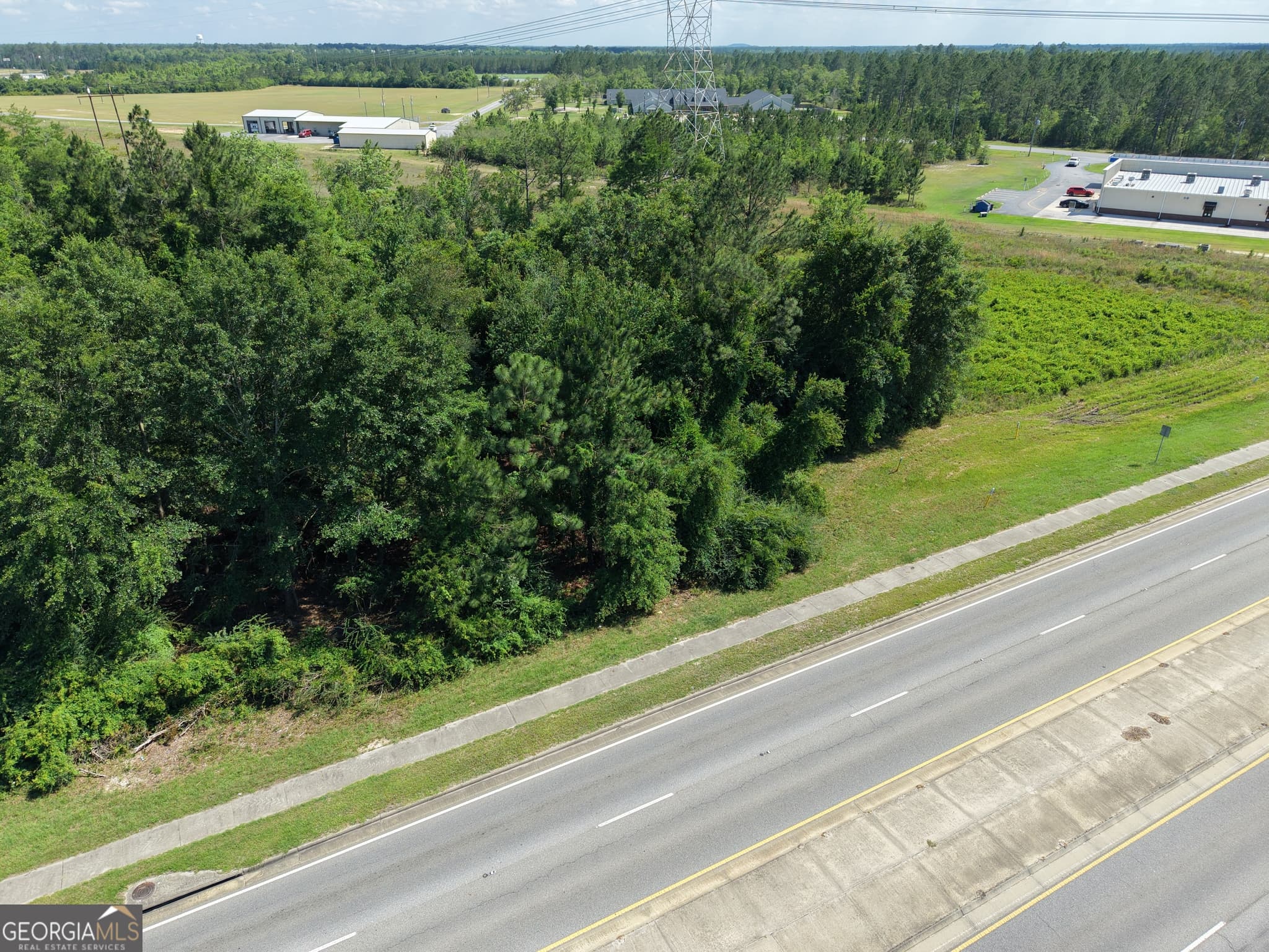unimproved land for sale at 0 US HWY 84, Jesup, GA 31545 — photo 8