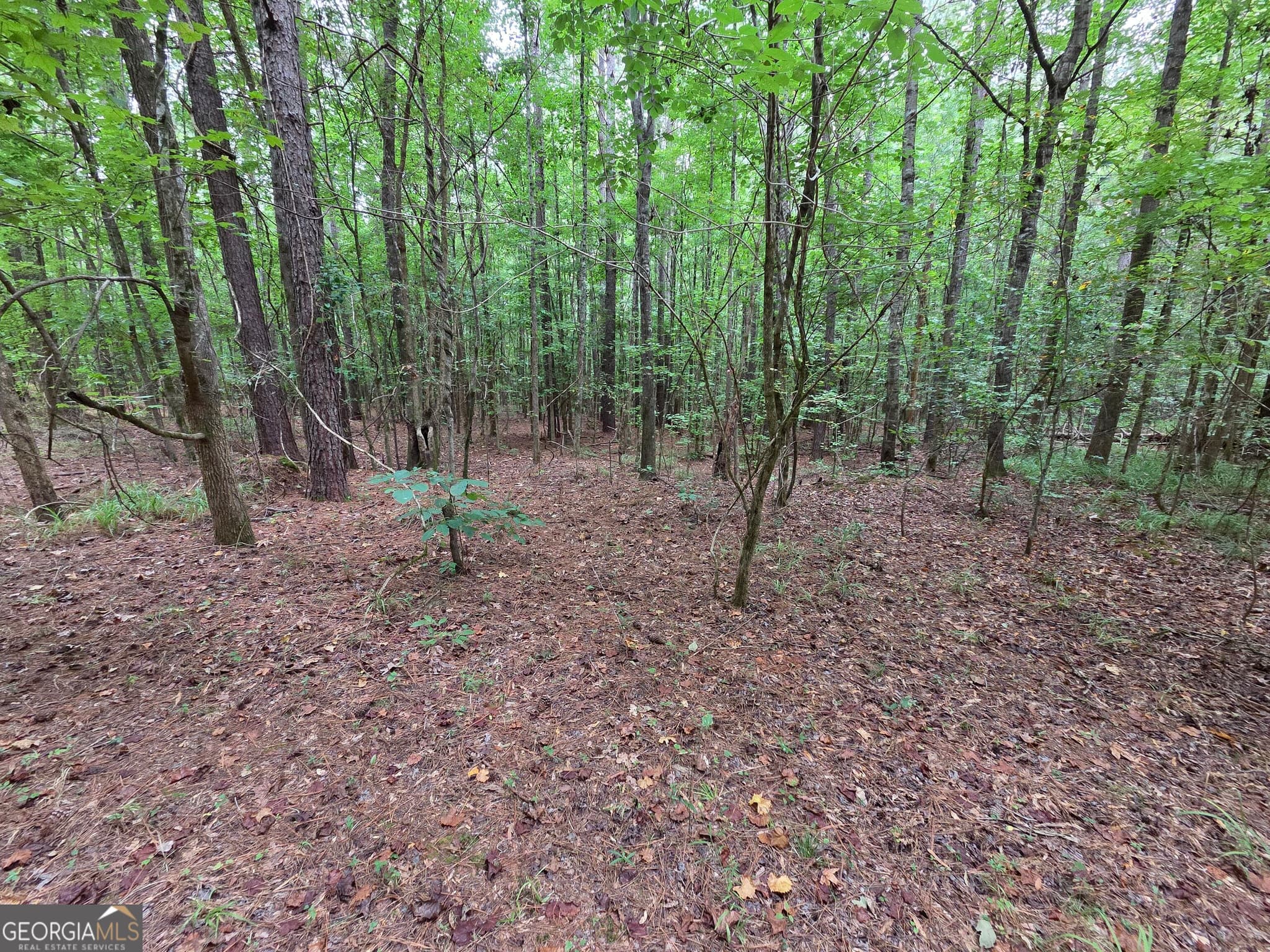 agriculture for sale at 0 Brownlee Road, Forsyth, GA 31029 — photo 6