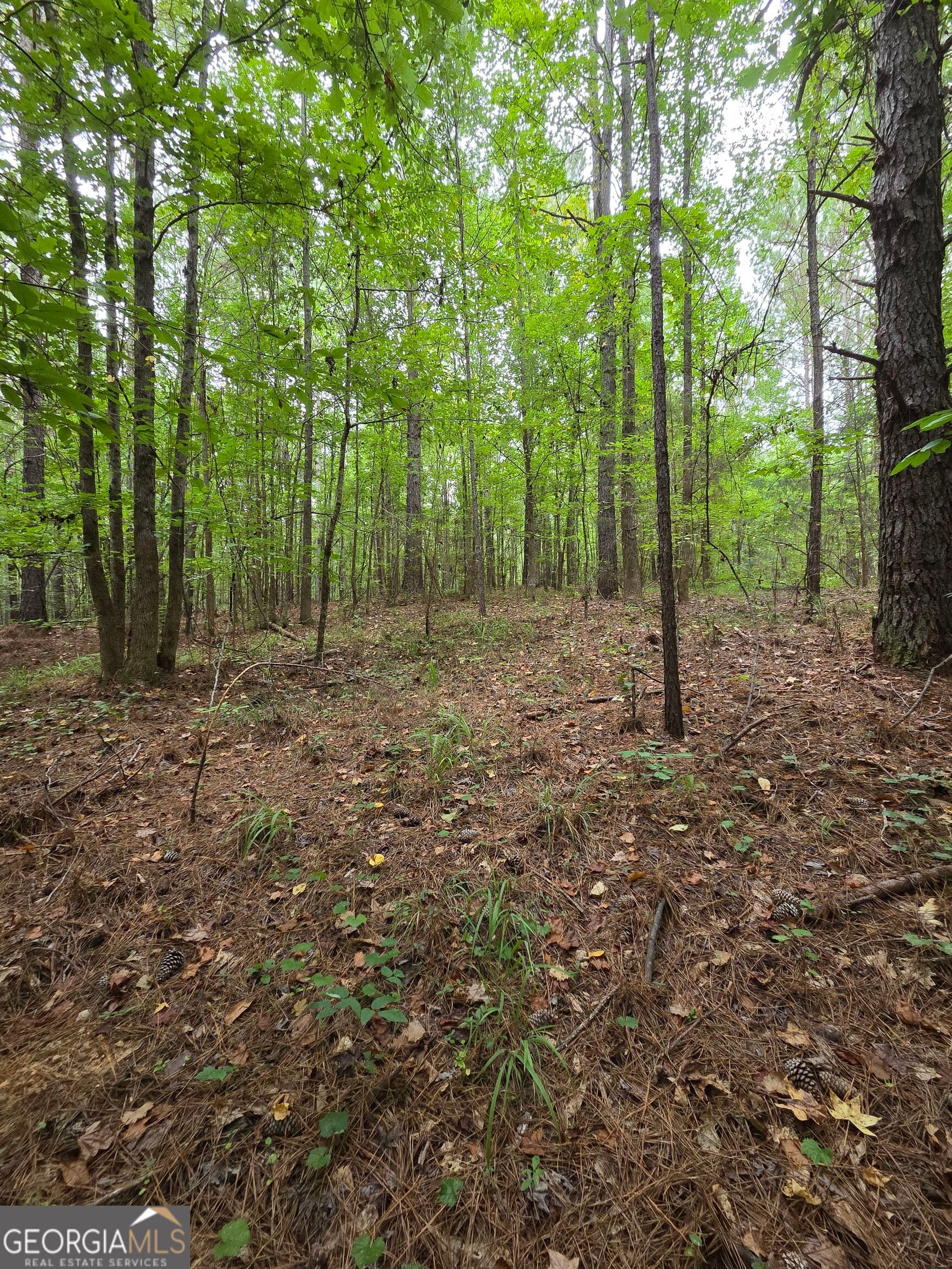 agriculture for sale at 0 Brownlee Road, Forsyth, GA 31029 — photo 7