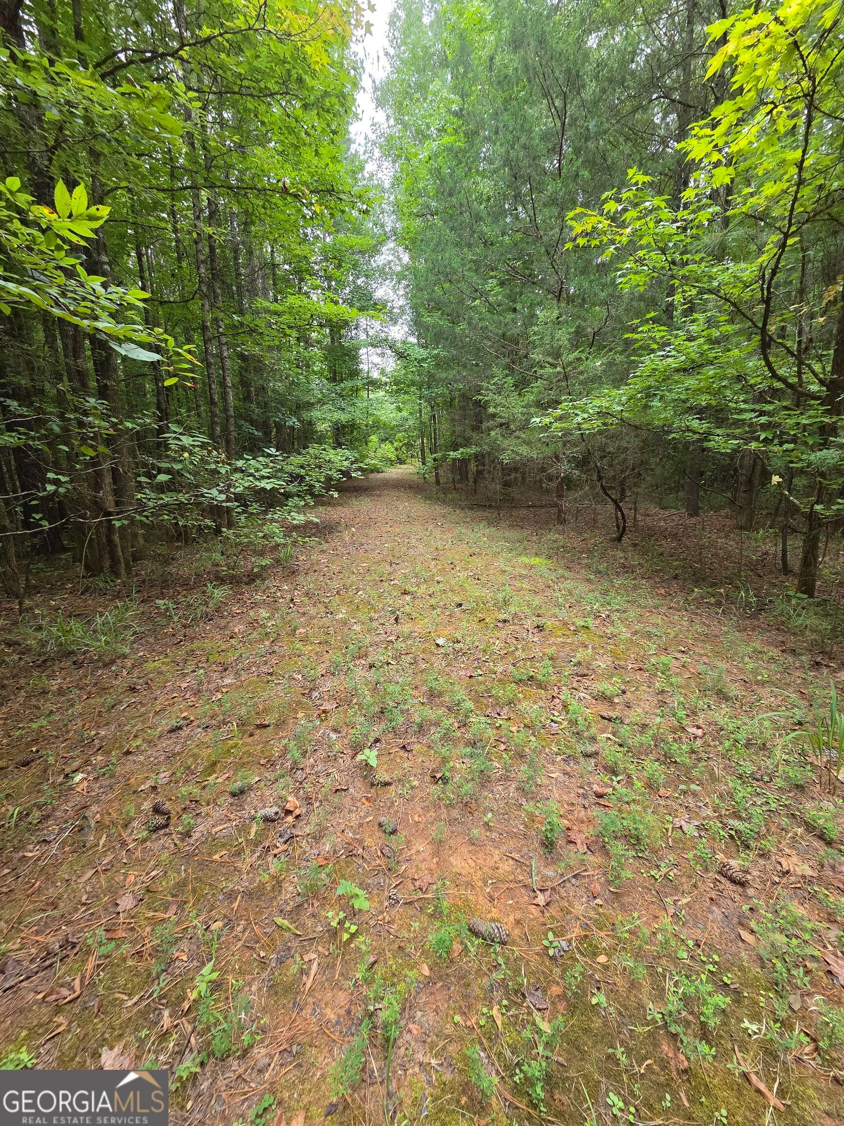 agriculture for sale at 0 Brownlee Road, Forsyth, GA 31029 — photo 5