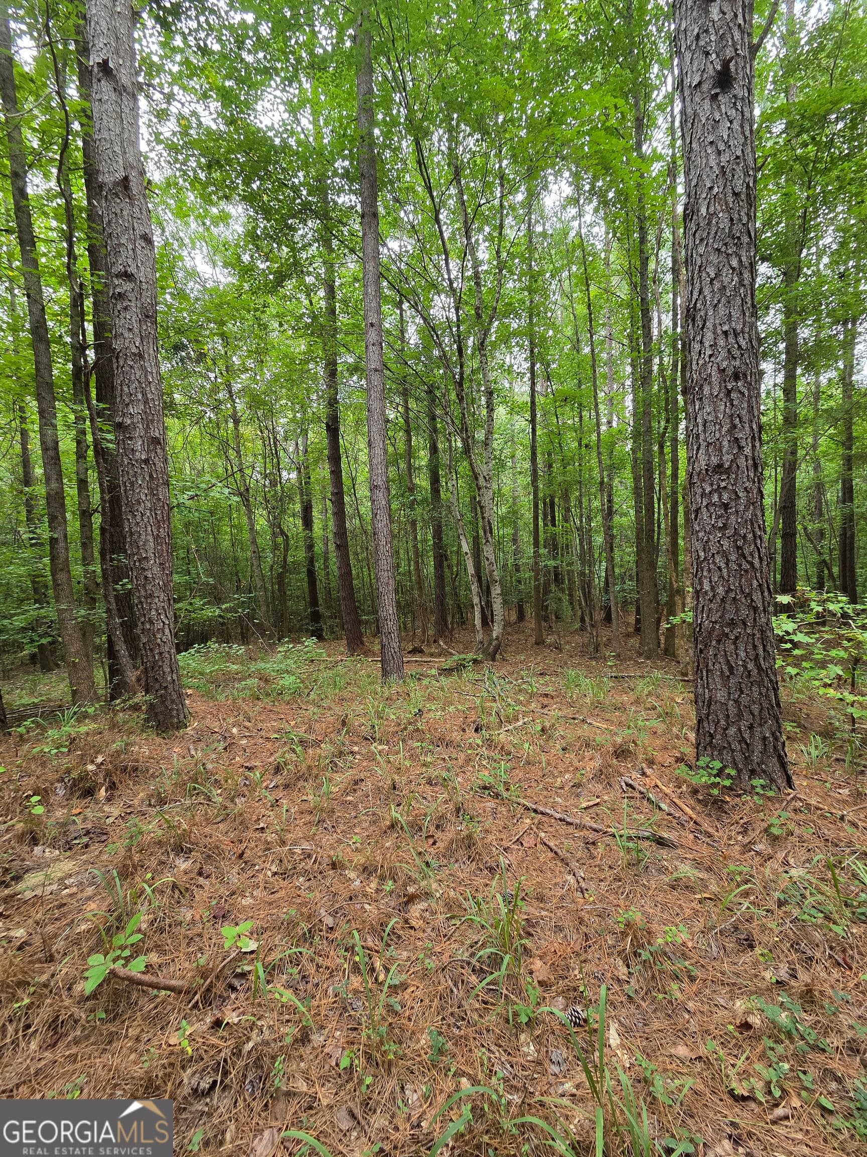 agriculture for sale at 0 Brownlee Road, Forsyth, GA 31029 — photo 9
