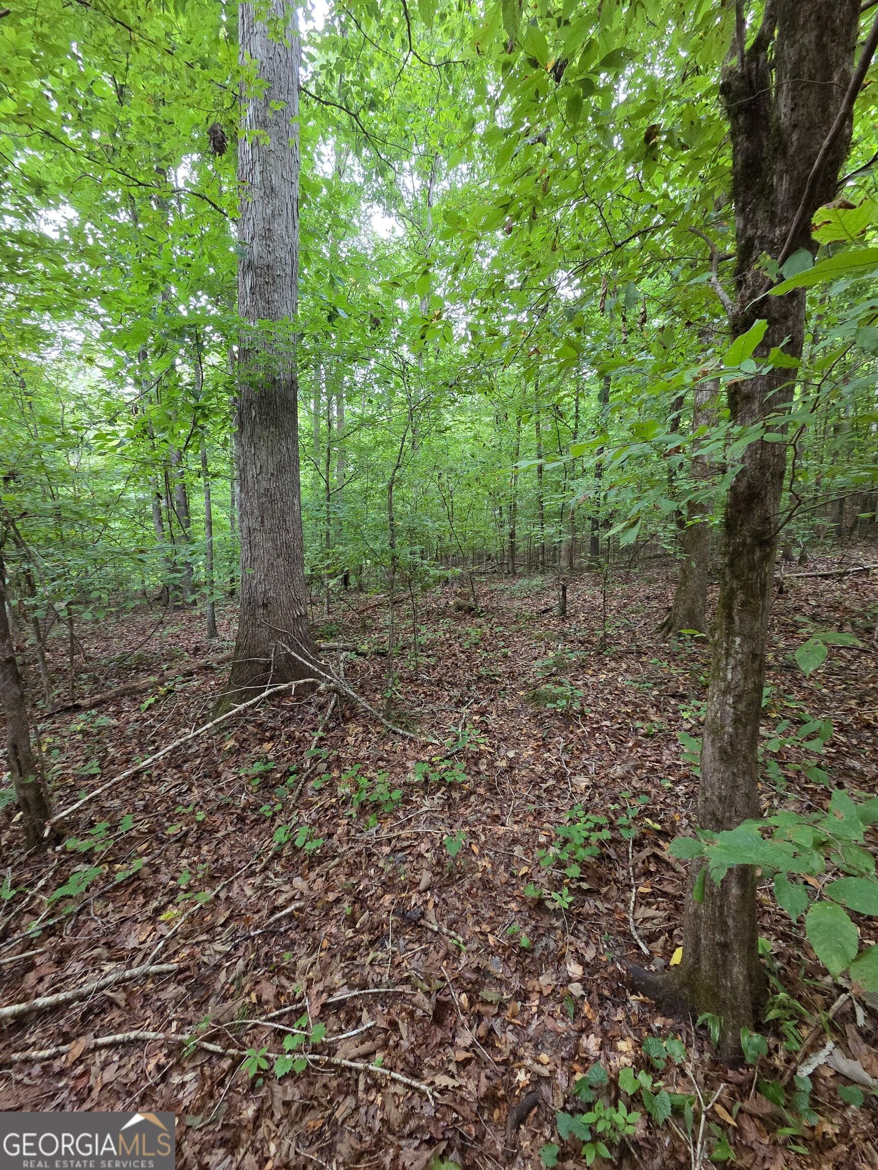 agriculture for sale at 0 Brownlee Road, Forsyth, GA 31029 — photo 10