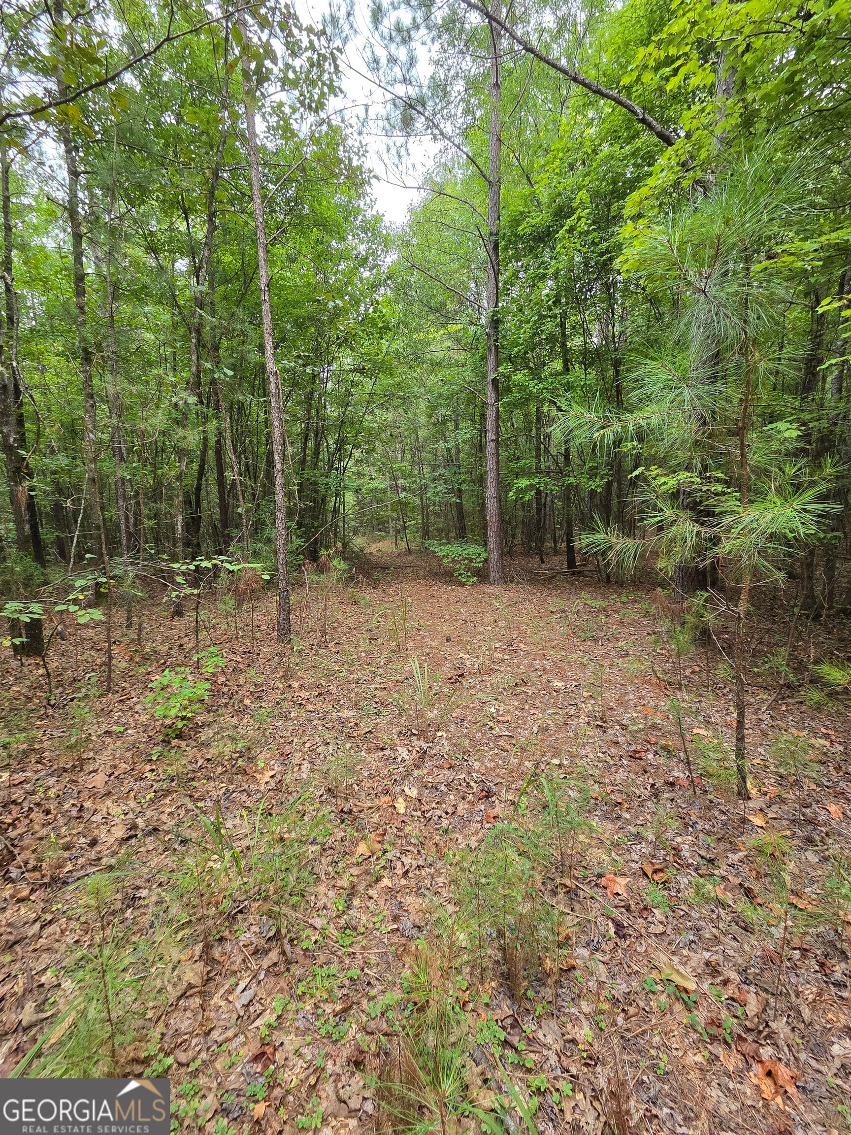 agriculture for sale at 0 Brownlee Road, Forsyth, GA 31029 — photo 4