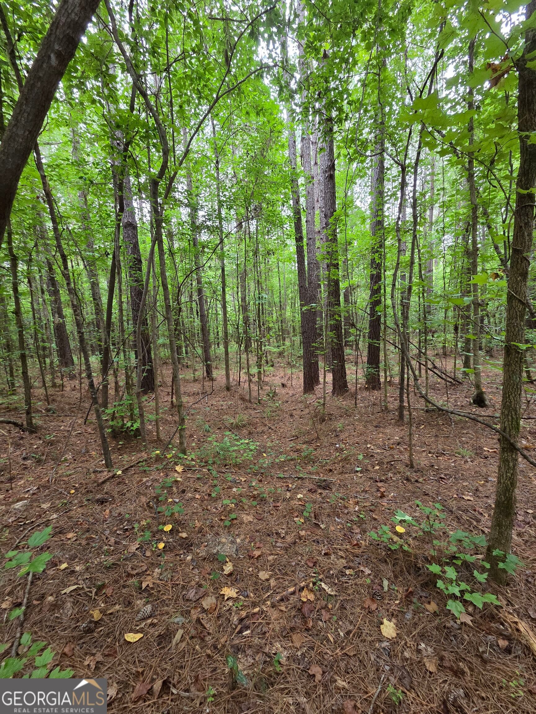 agriculture for sale at 0 Brownlee Road, Forsyth, GA 31029 — photo 8